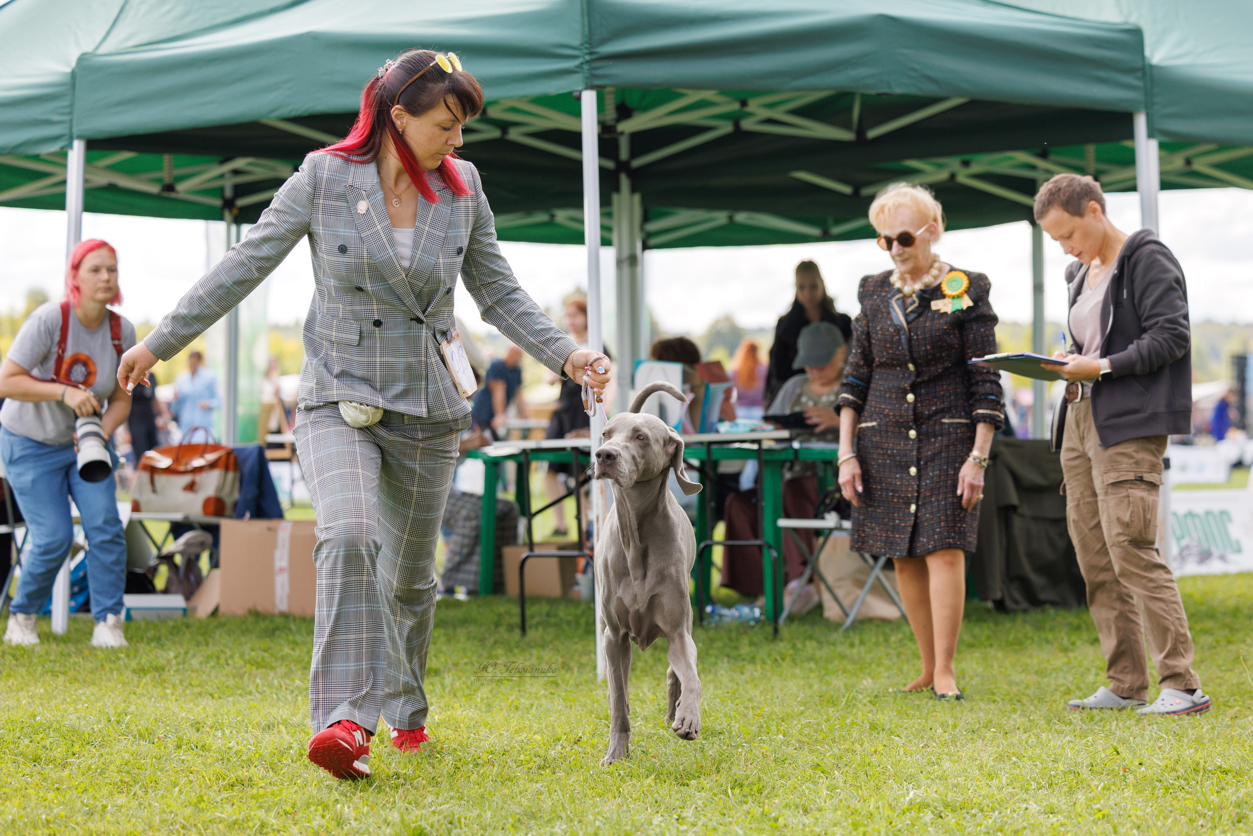 Переславль 5-7.08.2025. Фотограф-анималист Юлия Германика