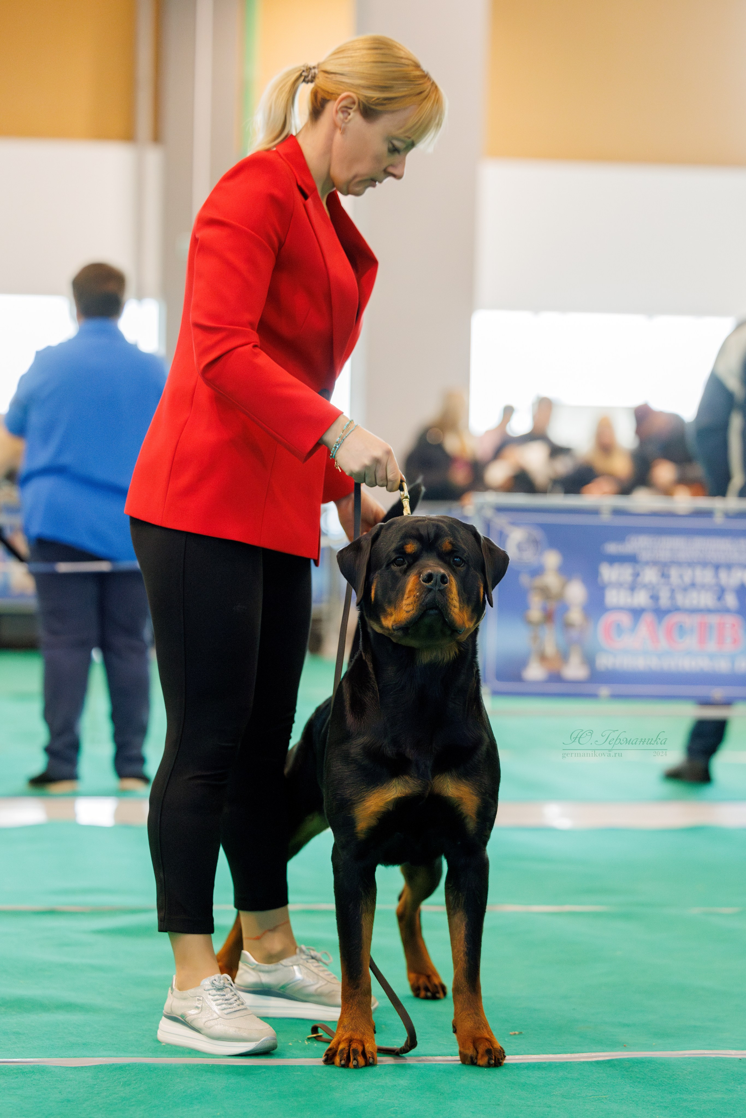 Минск 23.11.2024. Фотограф-анималист Юлия Германика