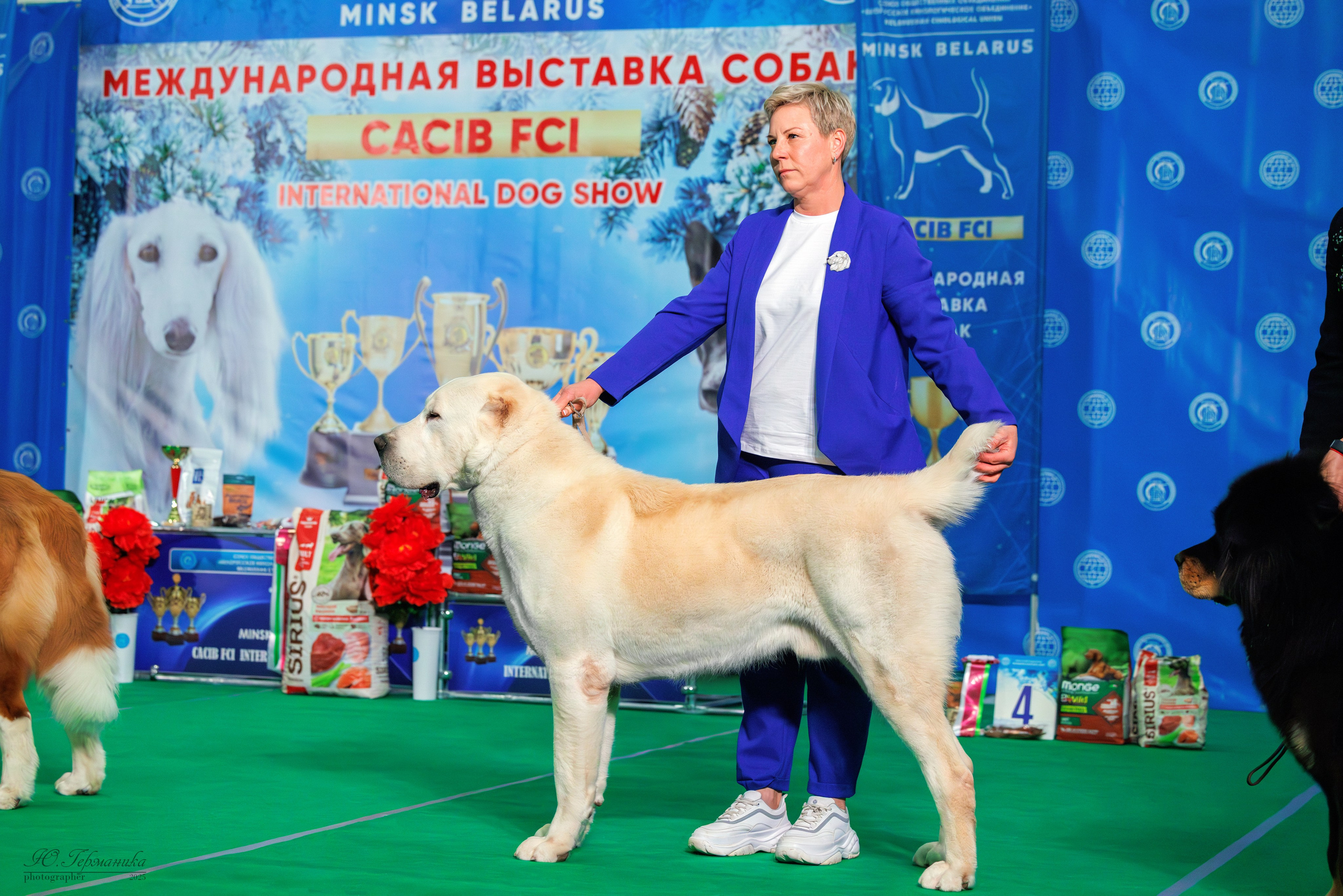 Минск 1-2.03.2025. Фотограф-анималист Юлия Германика
