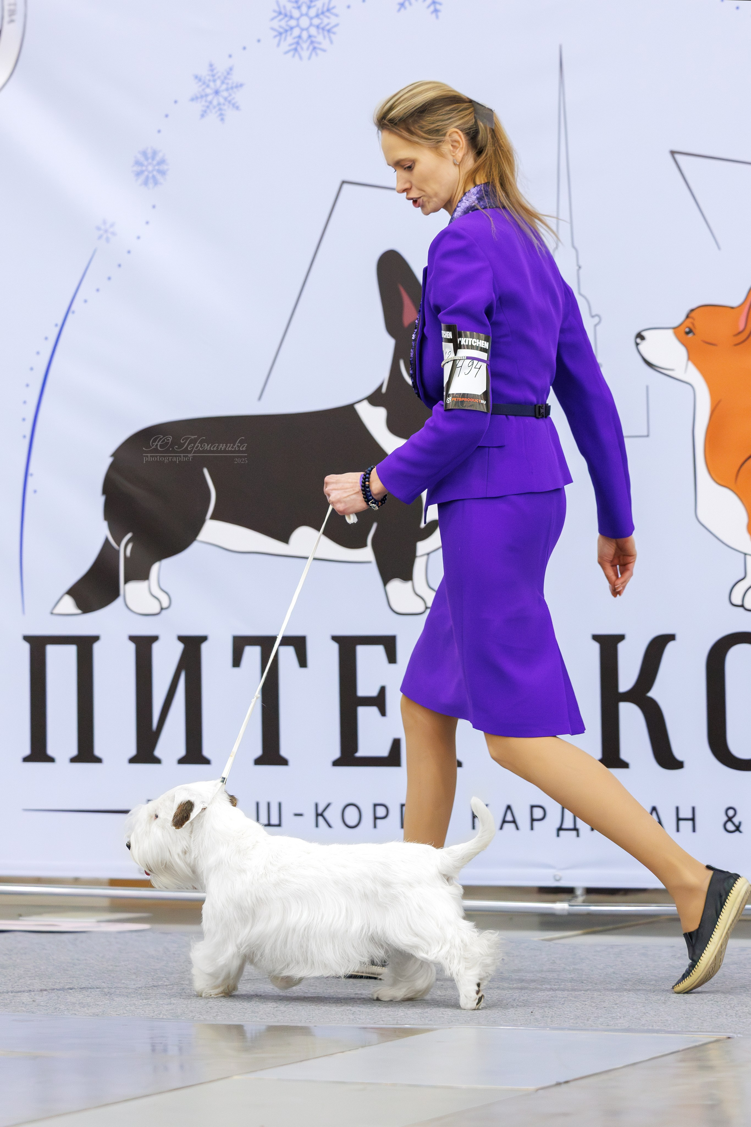 Питер 12-13.12.2025. Фотограф-анималист Юлия Германика