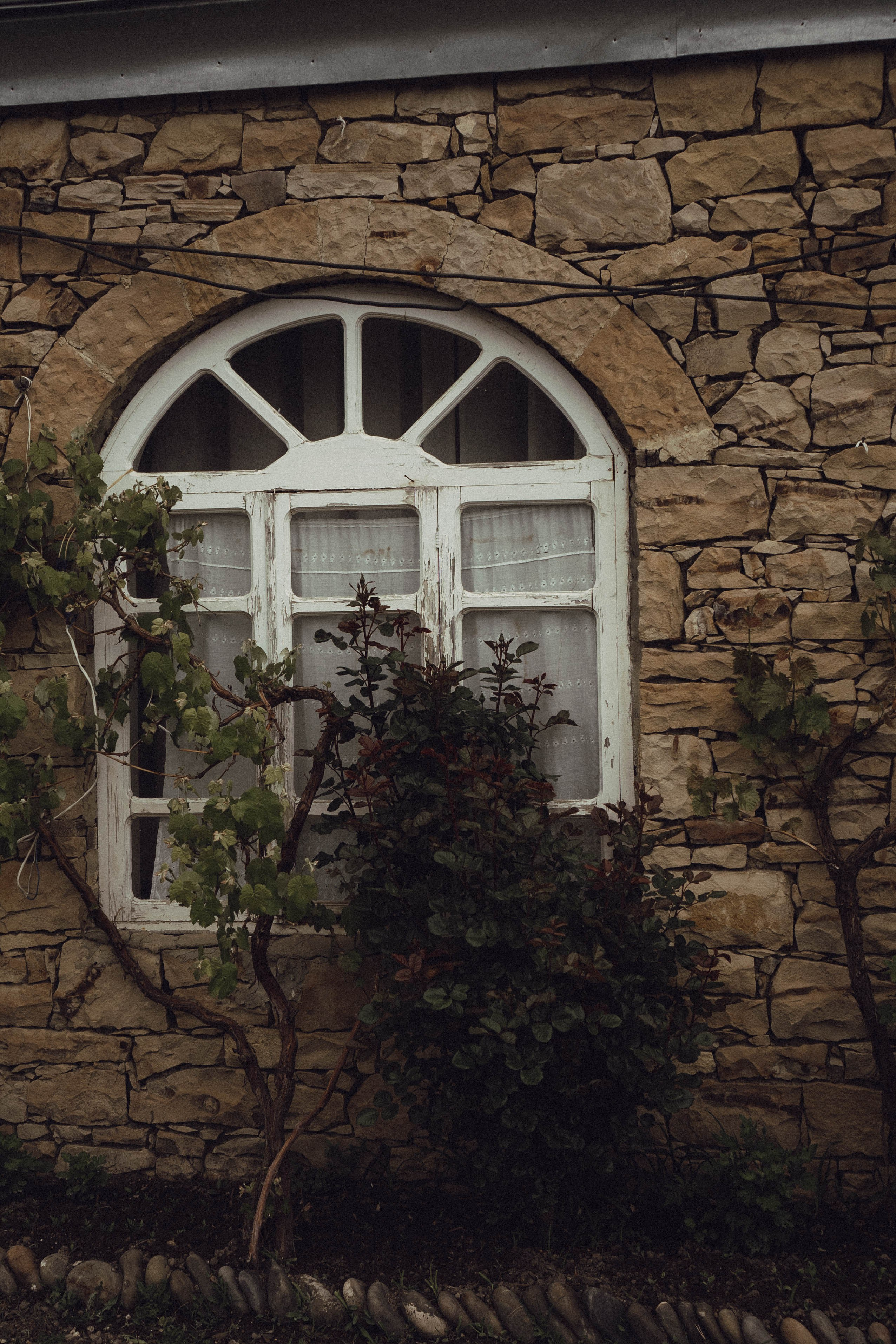 Кавказ. Профессиональный фотограф, Санкт-Петербург — Виктория Богомолова
