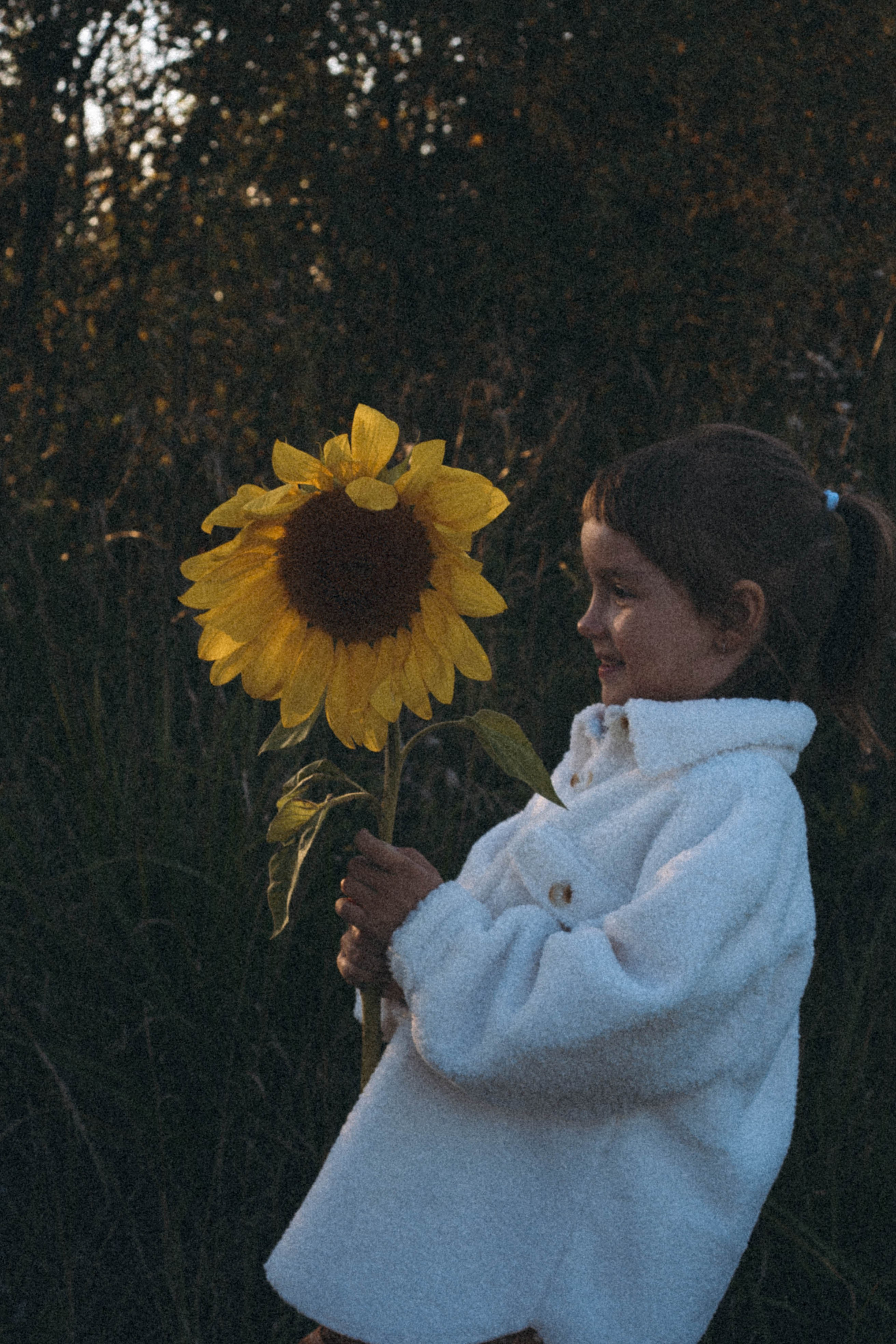 Семейная серия. Профессиональный фотограф, Санкт-Петербург — Виктория Богомолова