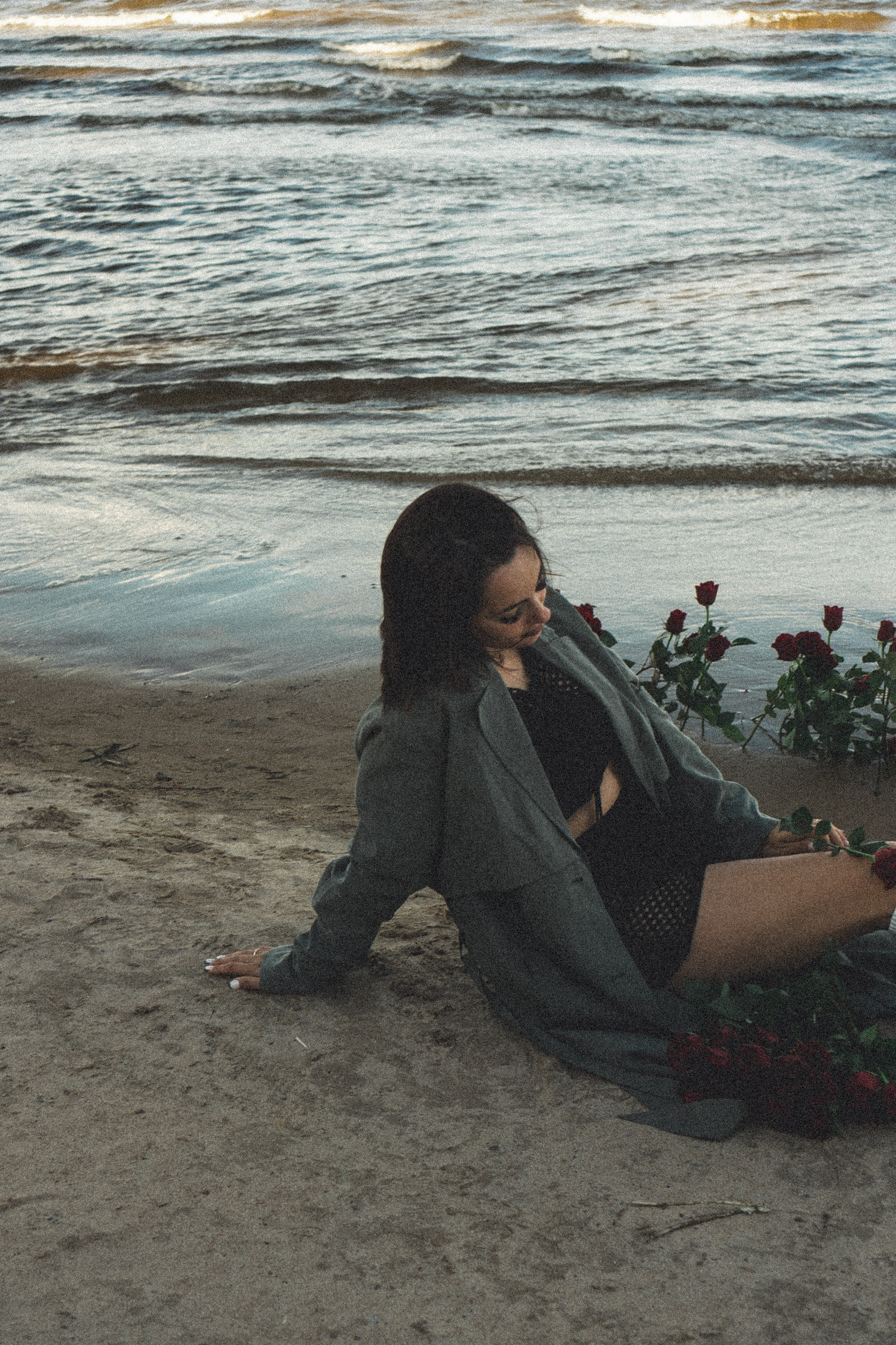 Розы. Профессиональный фотограф, Санкт-Петербург — Виктория Богомолова