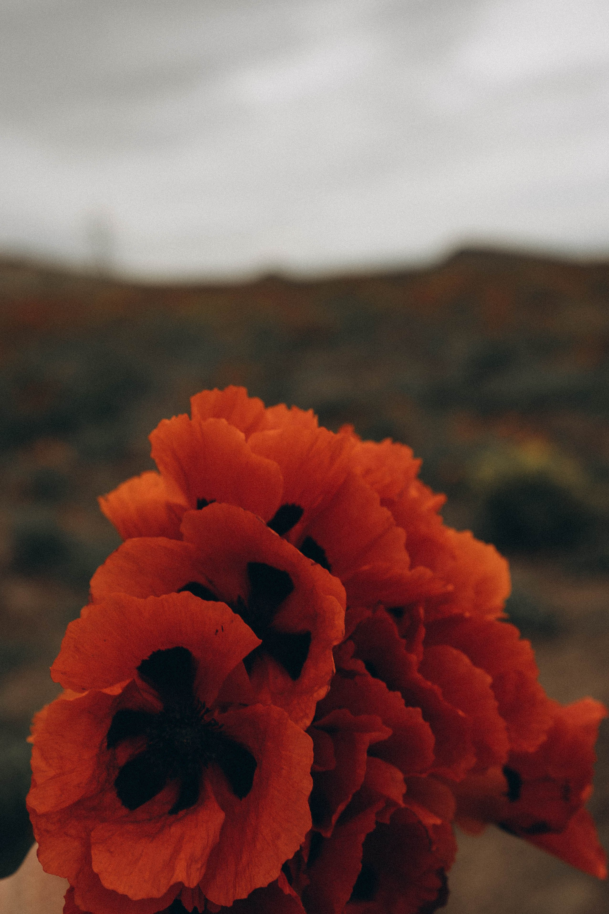 Путешествие в Дагестане. Профессиональный фотограф, Санкт-Петербург — Виктория Богомолова