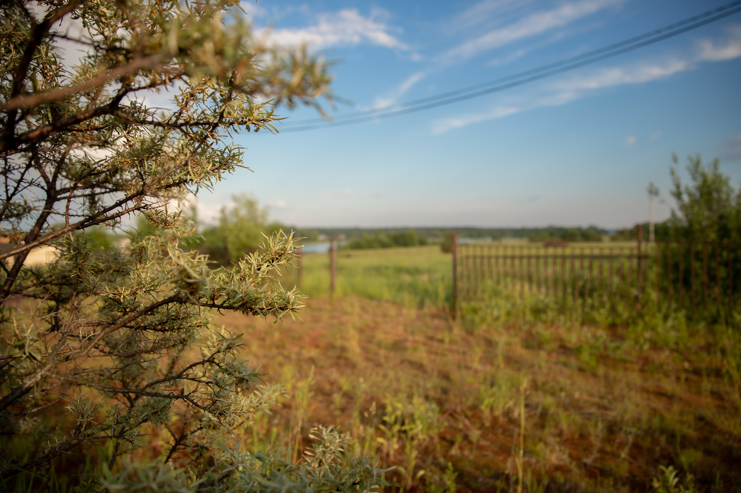 База отдыха в Тверской области. Территория. Фотограф недвижимости и контент-съемки в СПб