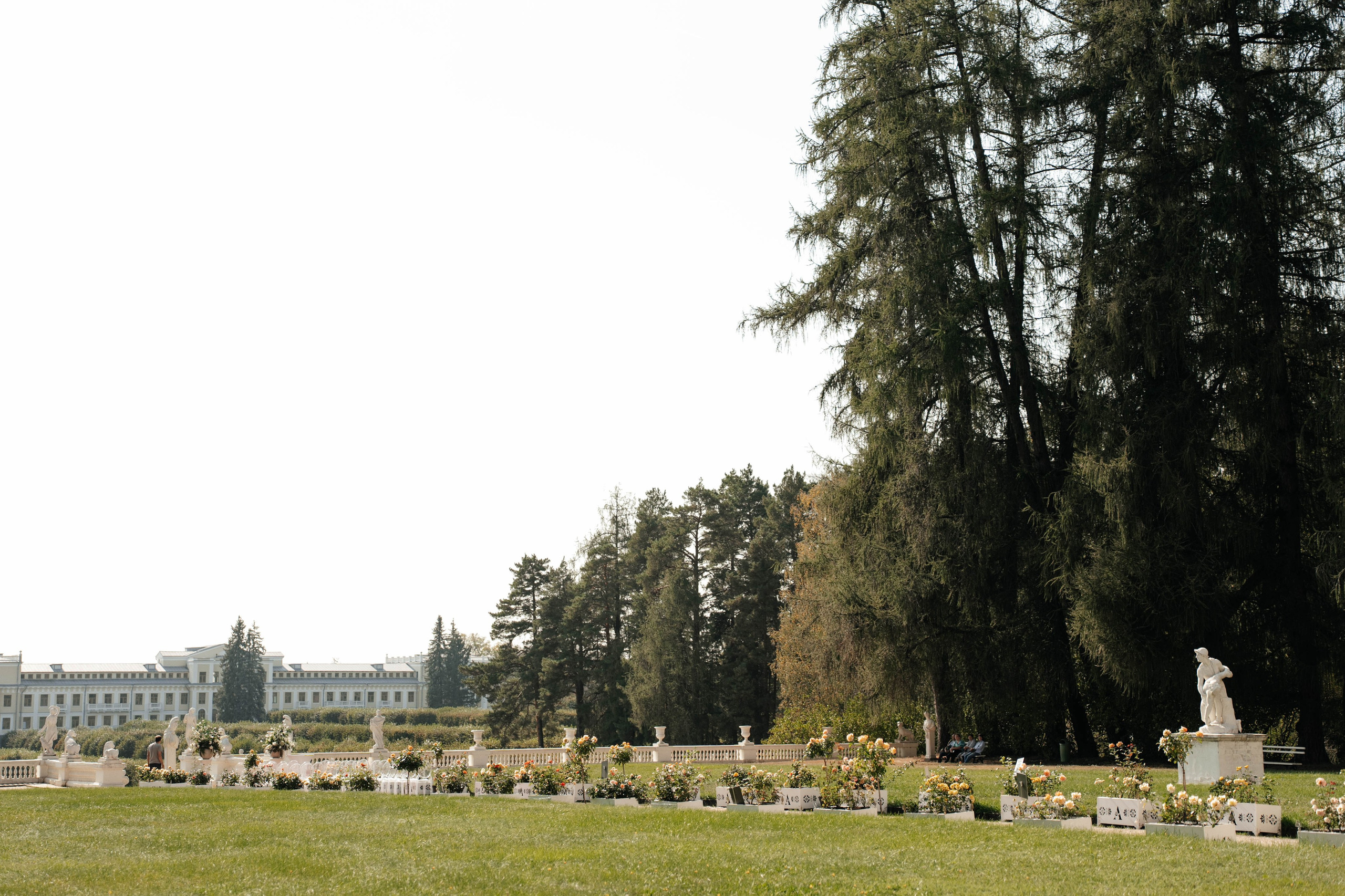 Регистрация в Архангельском | ресторан Дача. Свадебный фотограф Москва Александра Аверкова