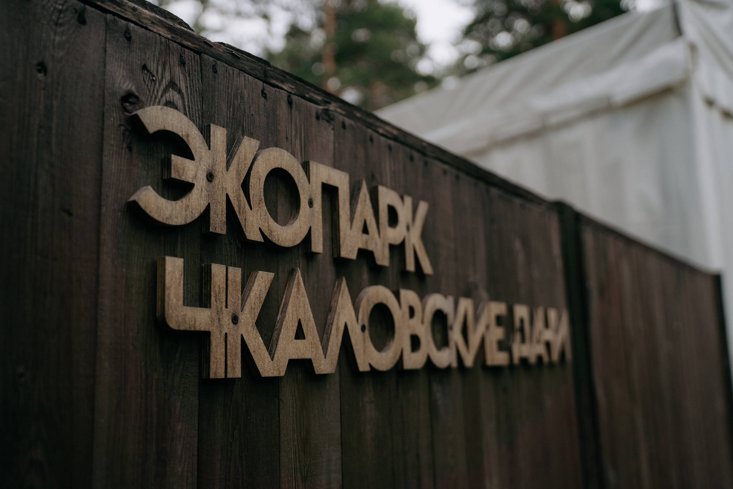 Полина и Виталий. Свадебный и семейный фотограф в Новосибирске Наталья Зорина