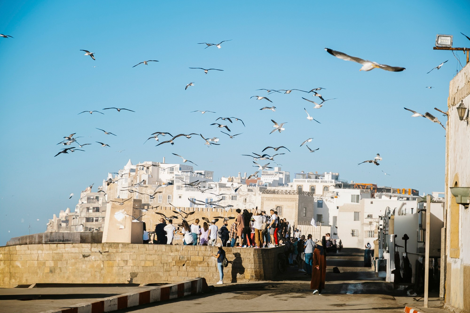 Марокко | город Эссуэйра. #фотокаквкино | Фотографирую людей