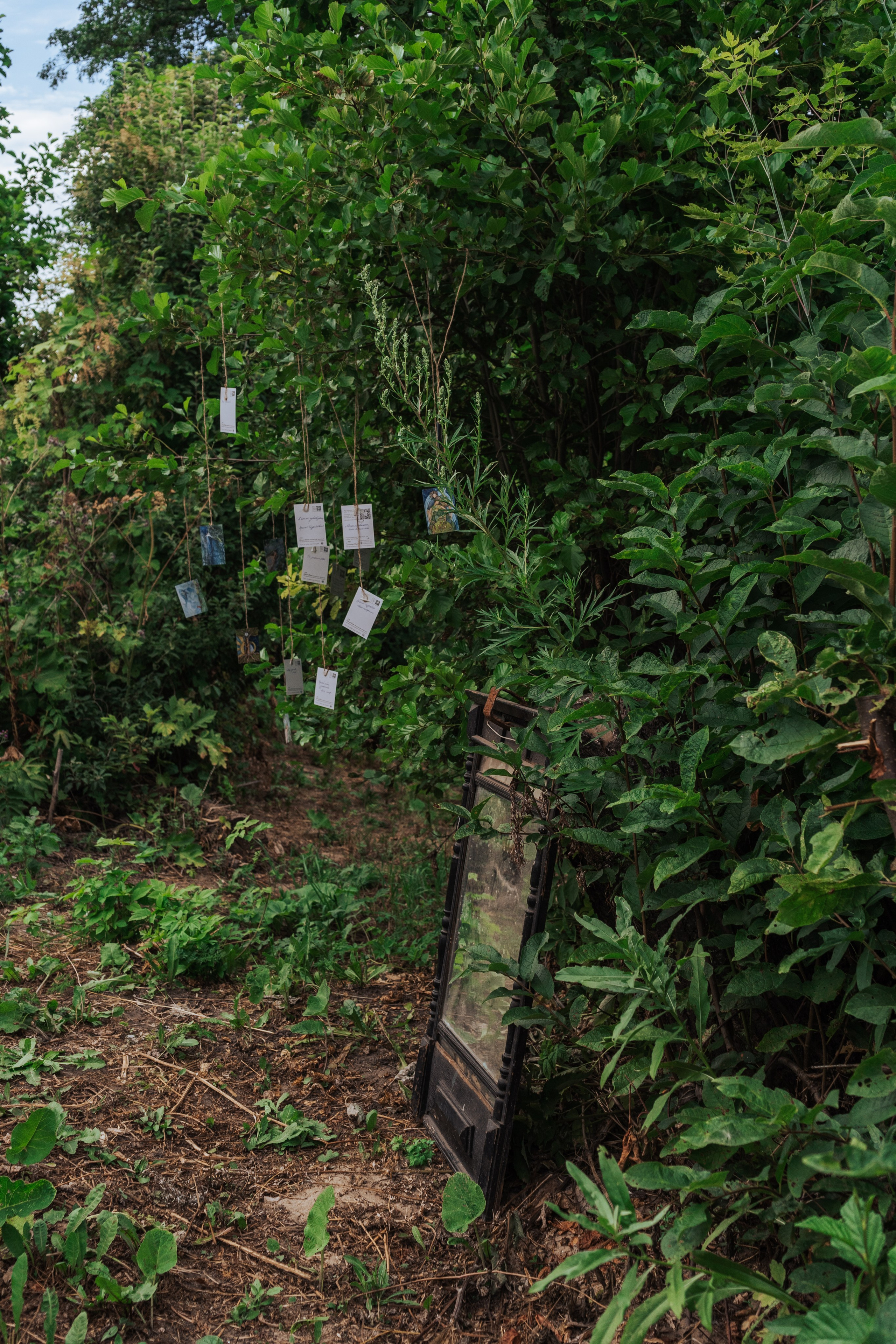 Ретрит от т-центра Псайторий 2024. Портретный фотограф Нижний Новгород