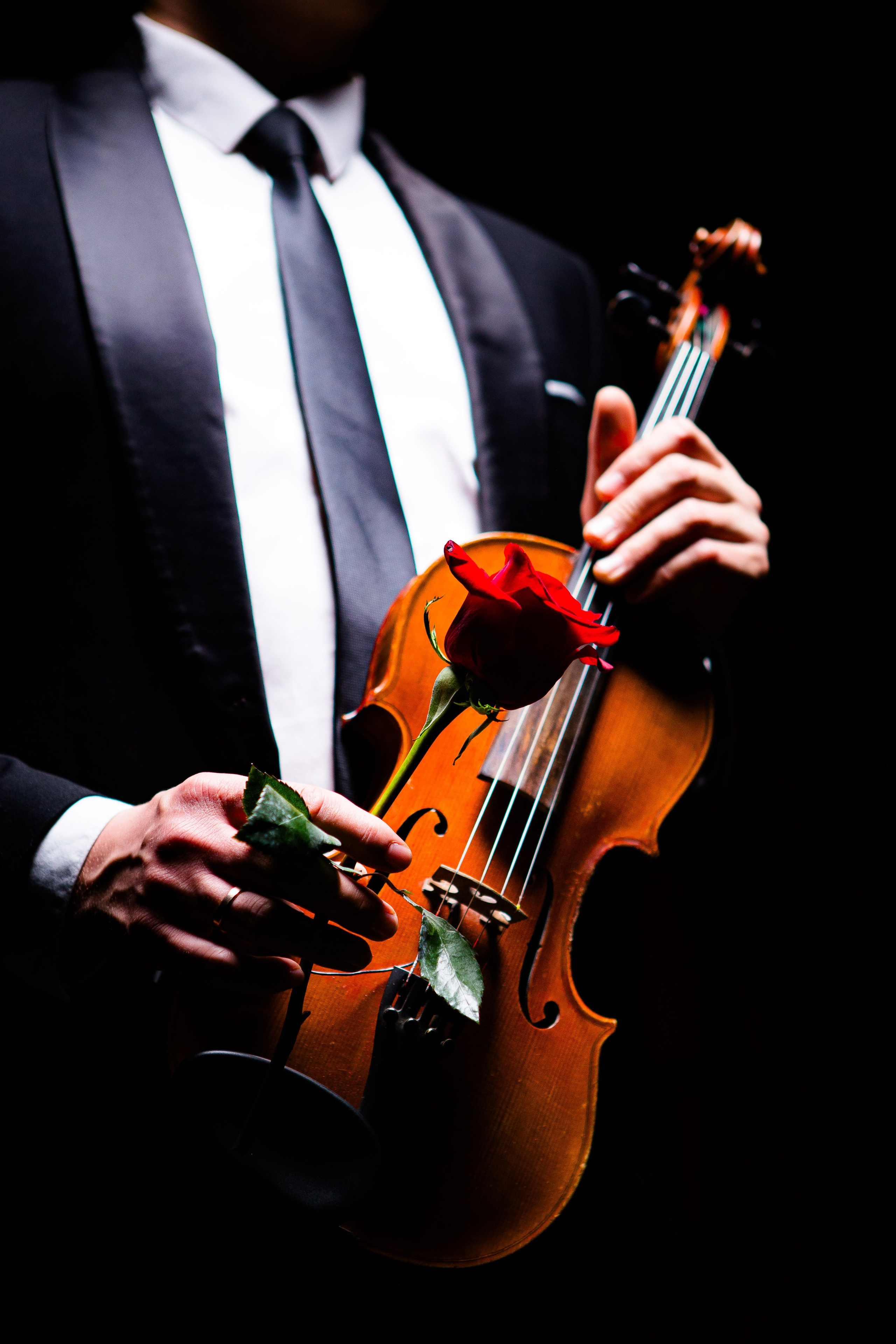 Цирковое шоу. Видеограф Добромыслов