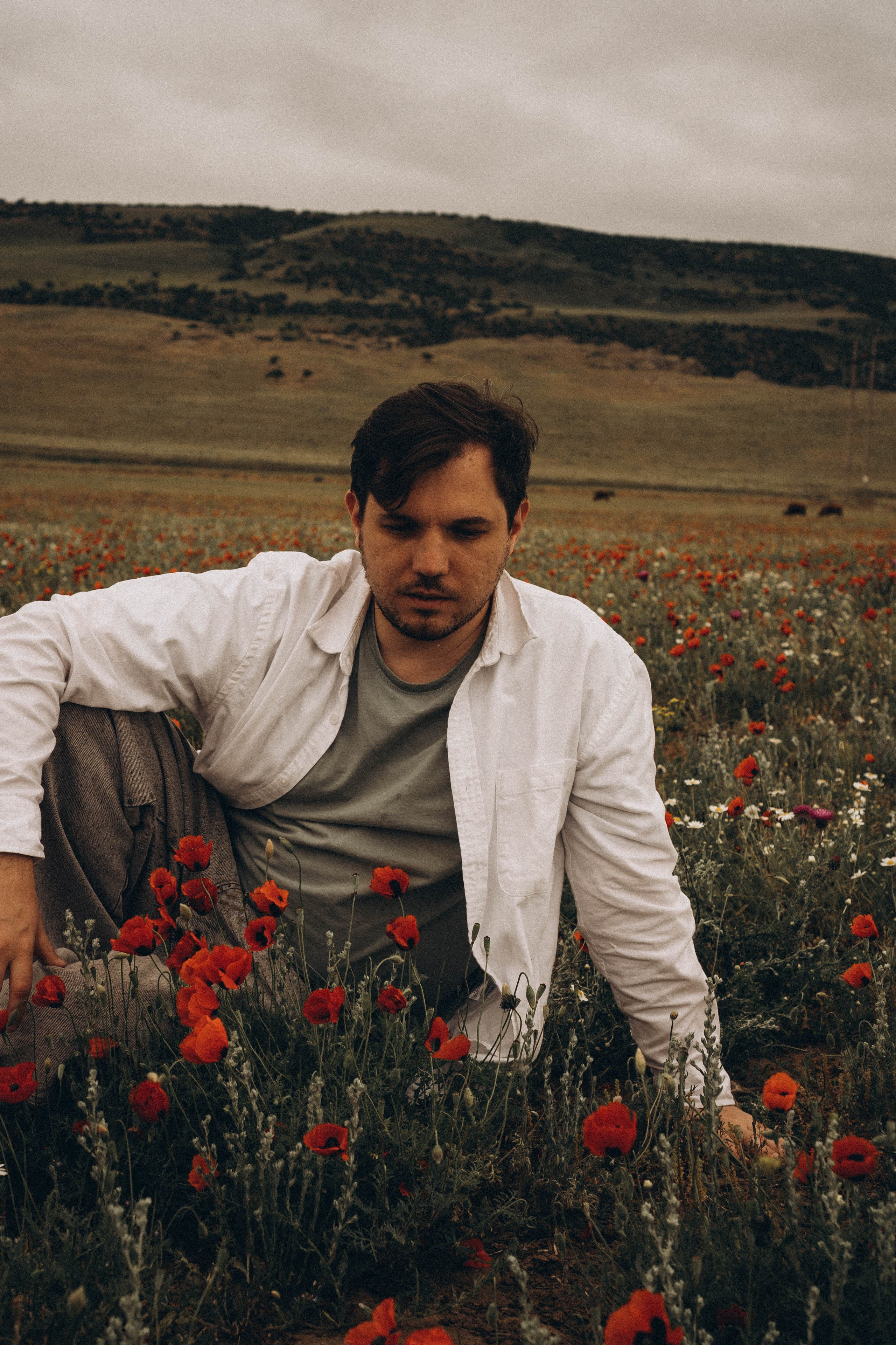 Маки. Профессиональный фотограф, Санкт-Петербург — Виктория Богомолова