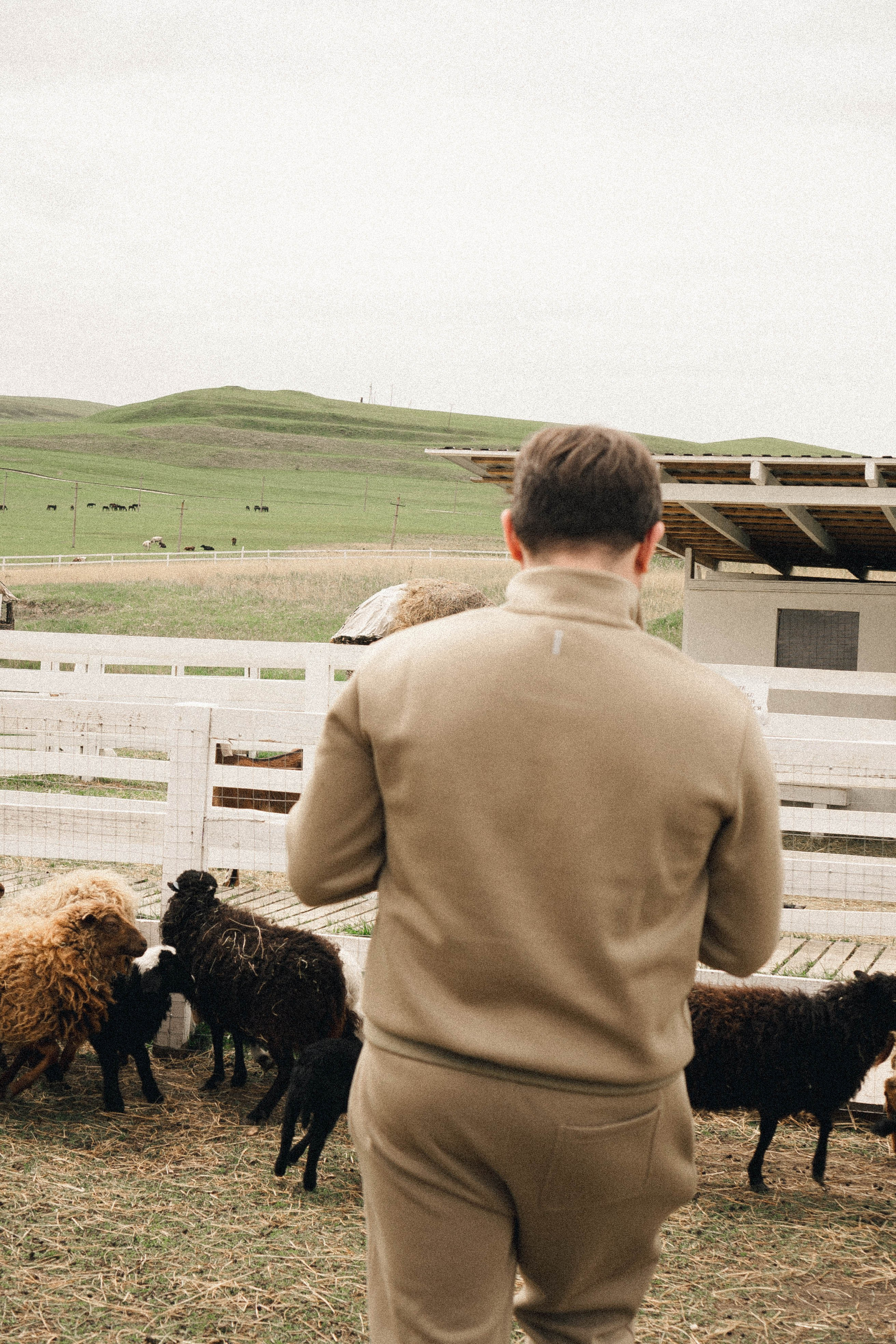 Ферма Альпак. Профессиональный фотограф, Санкт-Петербург — Виктория Богомолова