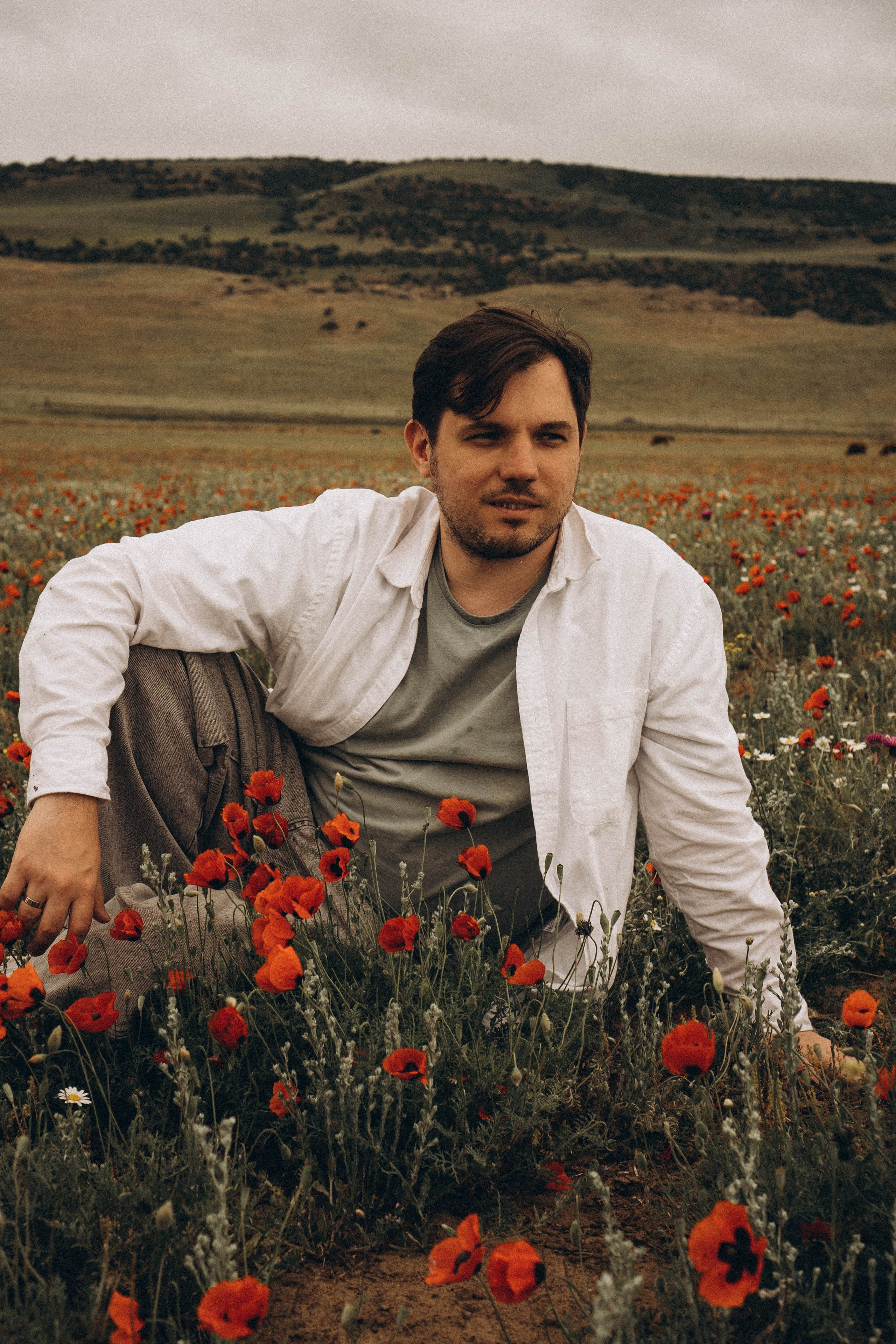 Маки. Профессиональный фотограф, Санкт-Петербург — Виктория Богомолова