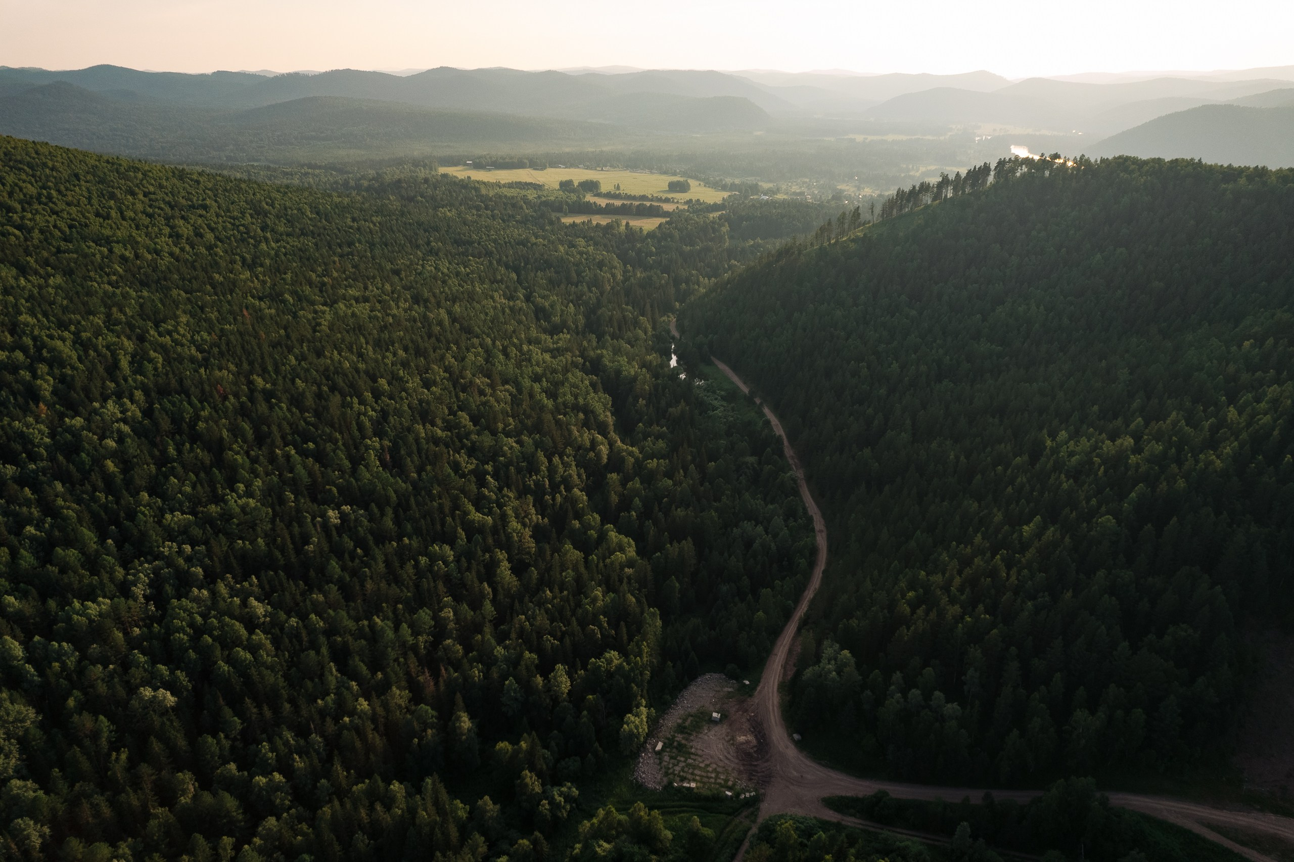 Дикий ужин. Репортажный фотограф Красноярск Алекс Чампакхам