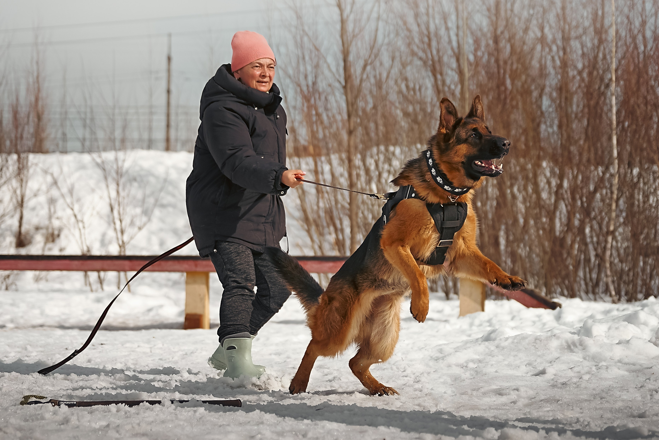 Репортажная съемка. Фотограф-анималист Нижний Новгород