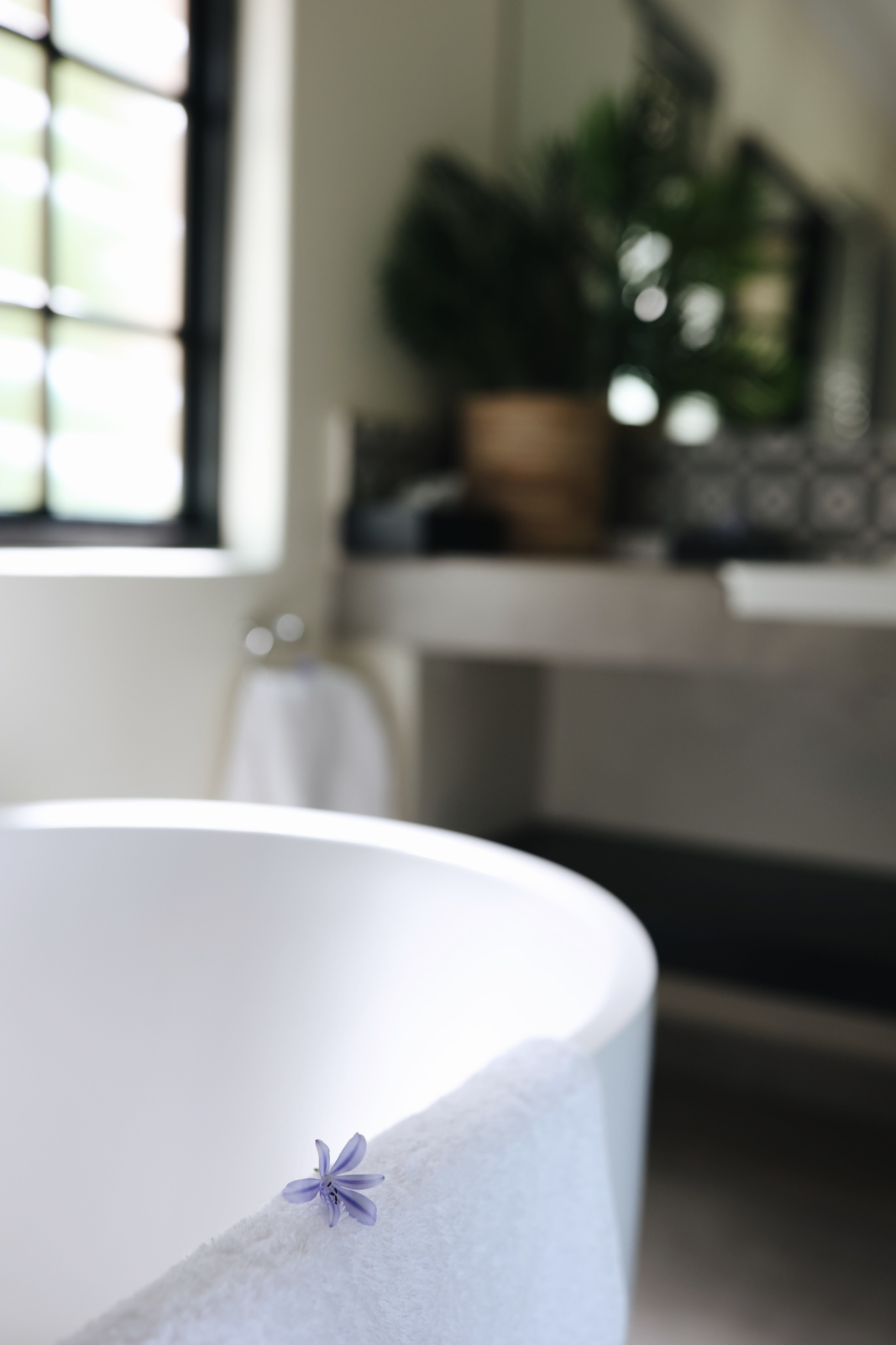 Stellenbosch • Wedgeview Country House & Spa. Ekaterina Buneeva Photography