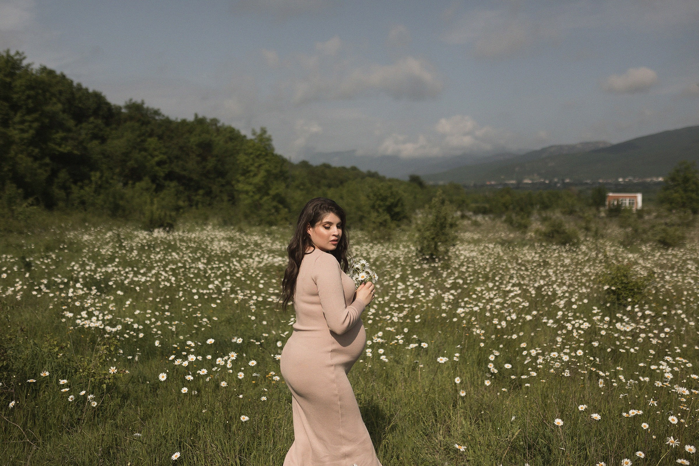 Наша ромашка. Sovushka DS