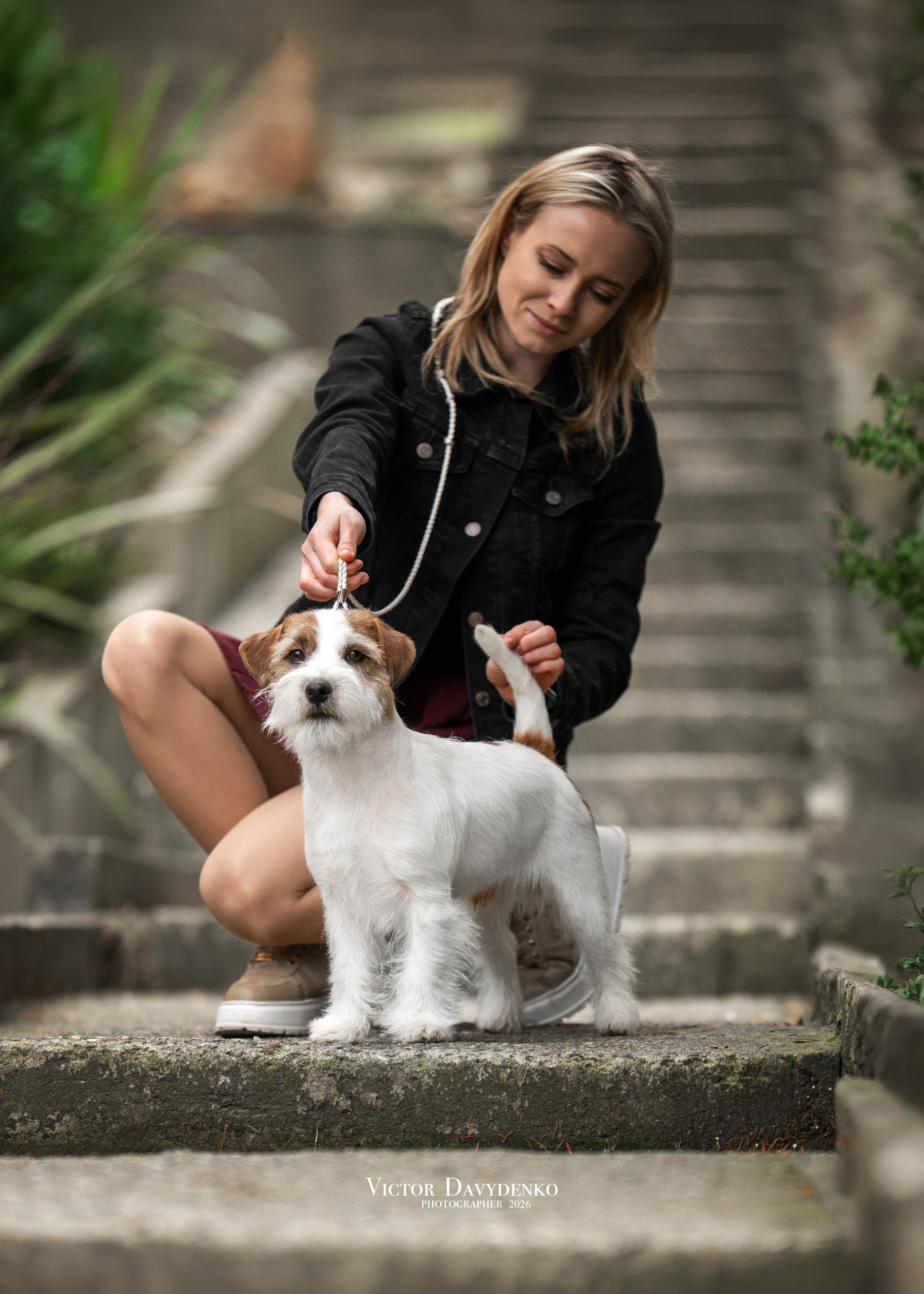  фотограф анималист краснодар выставка собак дог шоу
