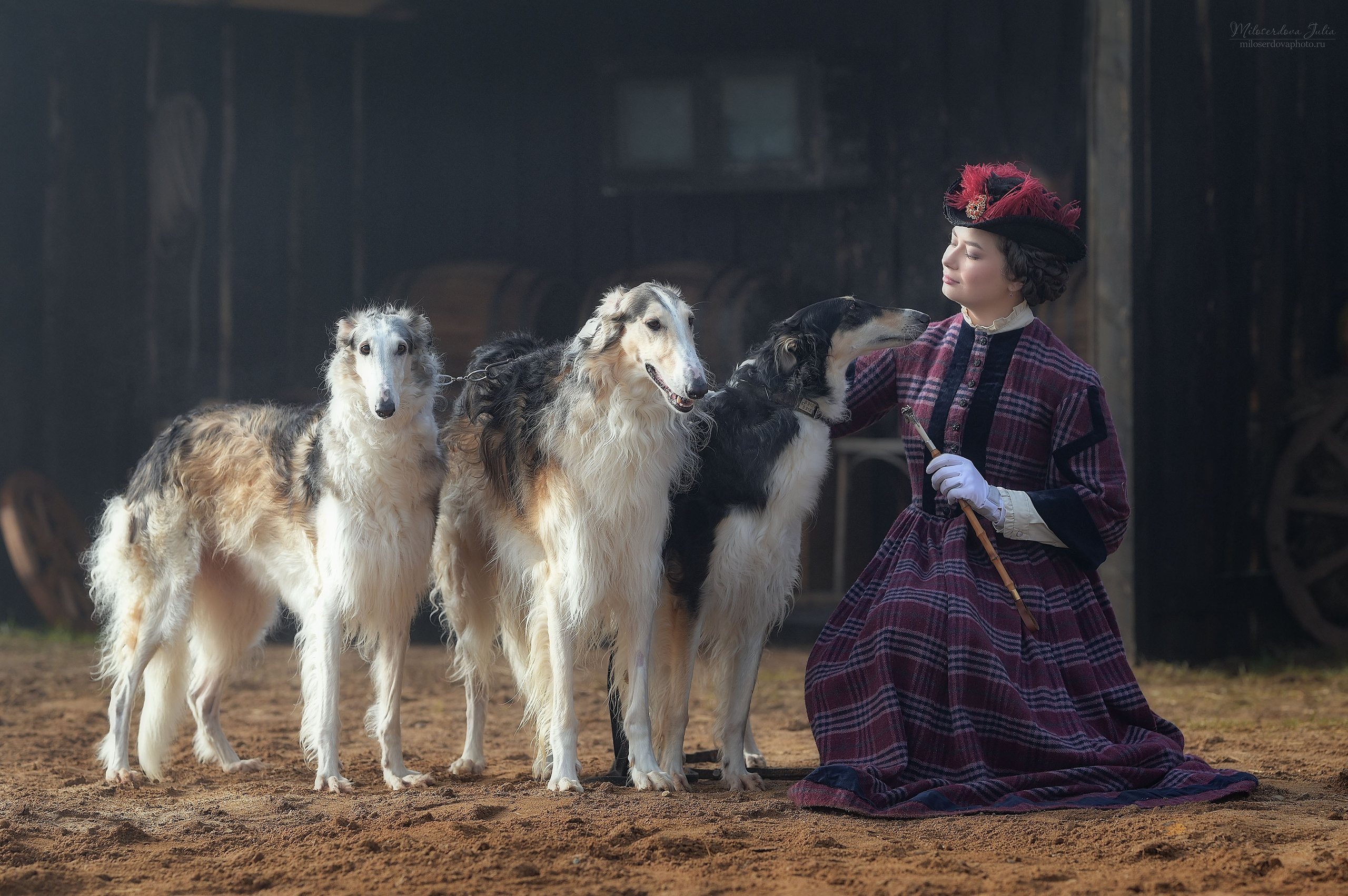 Аванпост осень. Фотограф Юлия Милосердова
