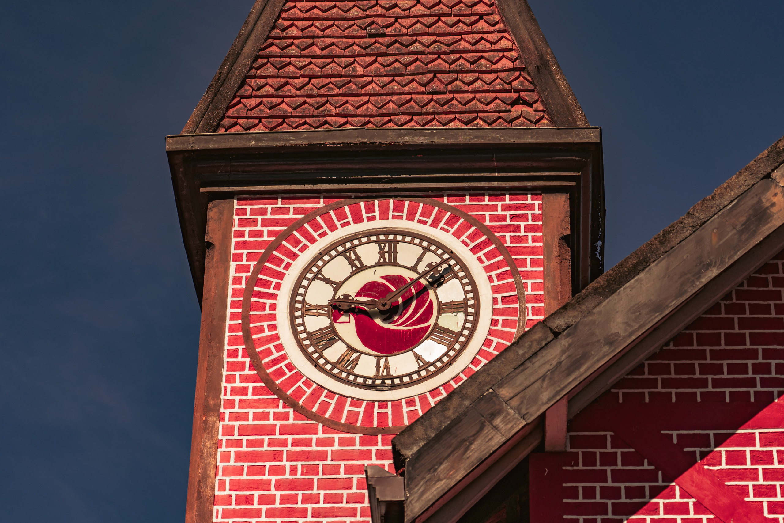 Promo content shooting for Ceylon Forward Tours