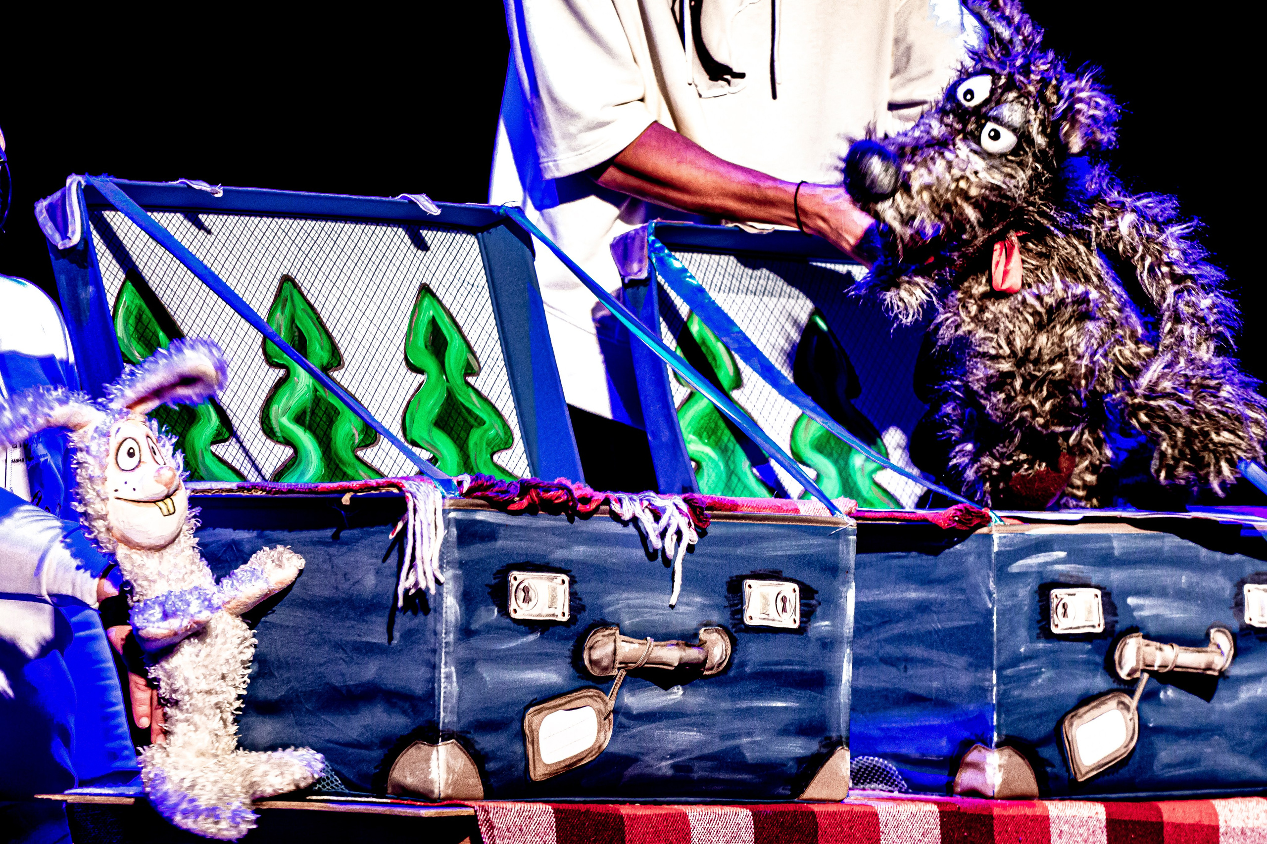 Спектакль театра Саквояж О Красной шапочке. Фотограф в Сочи Юрий Шептаев