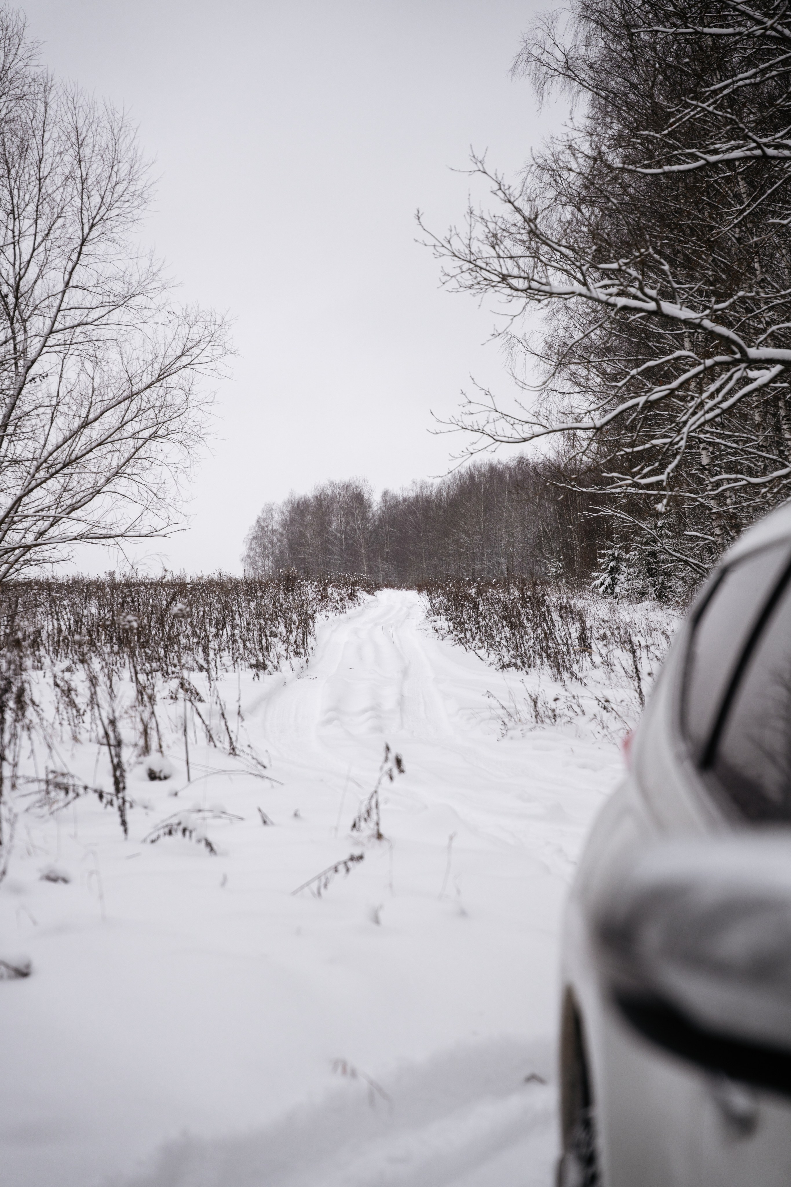 Поездка к р. Песочня и деревне Раевское. Vlad Trykov