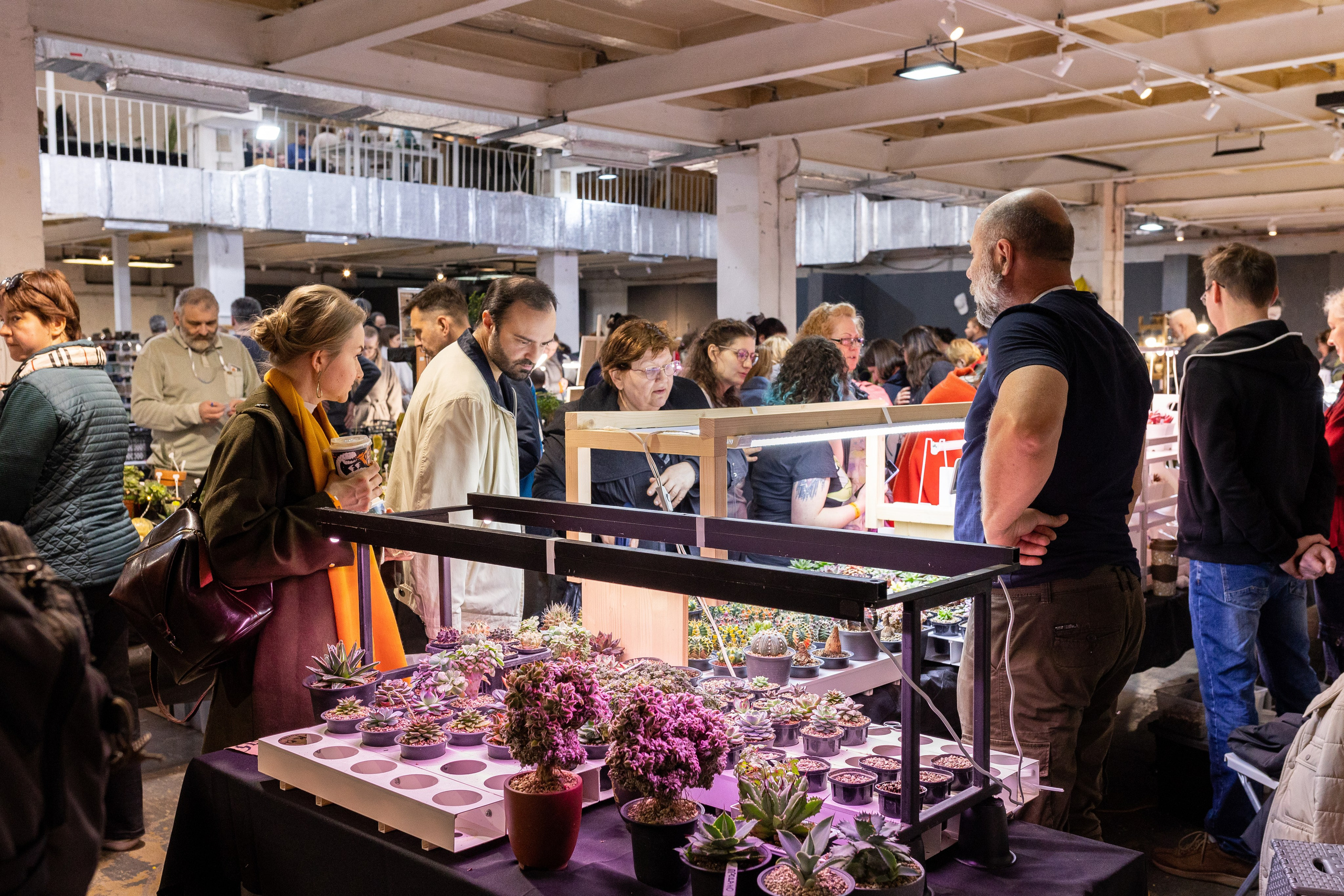 Meza market 2024. Александра Куликова фотограф, Москва