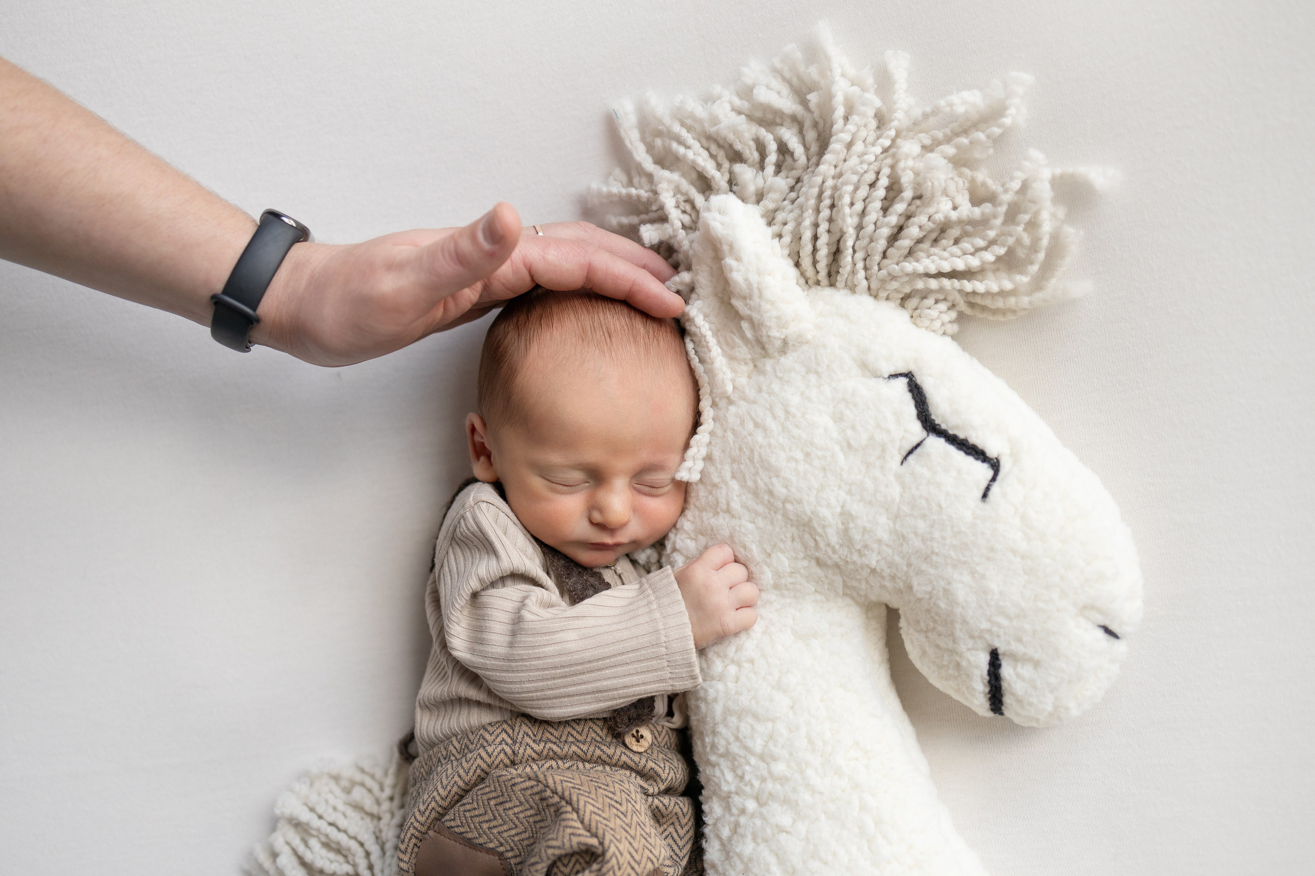 Портфолио. Фотограф новорождённых в городе Щёлково и Москве Екатерина Фоменко