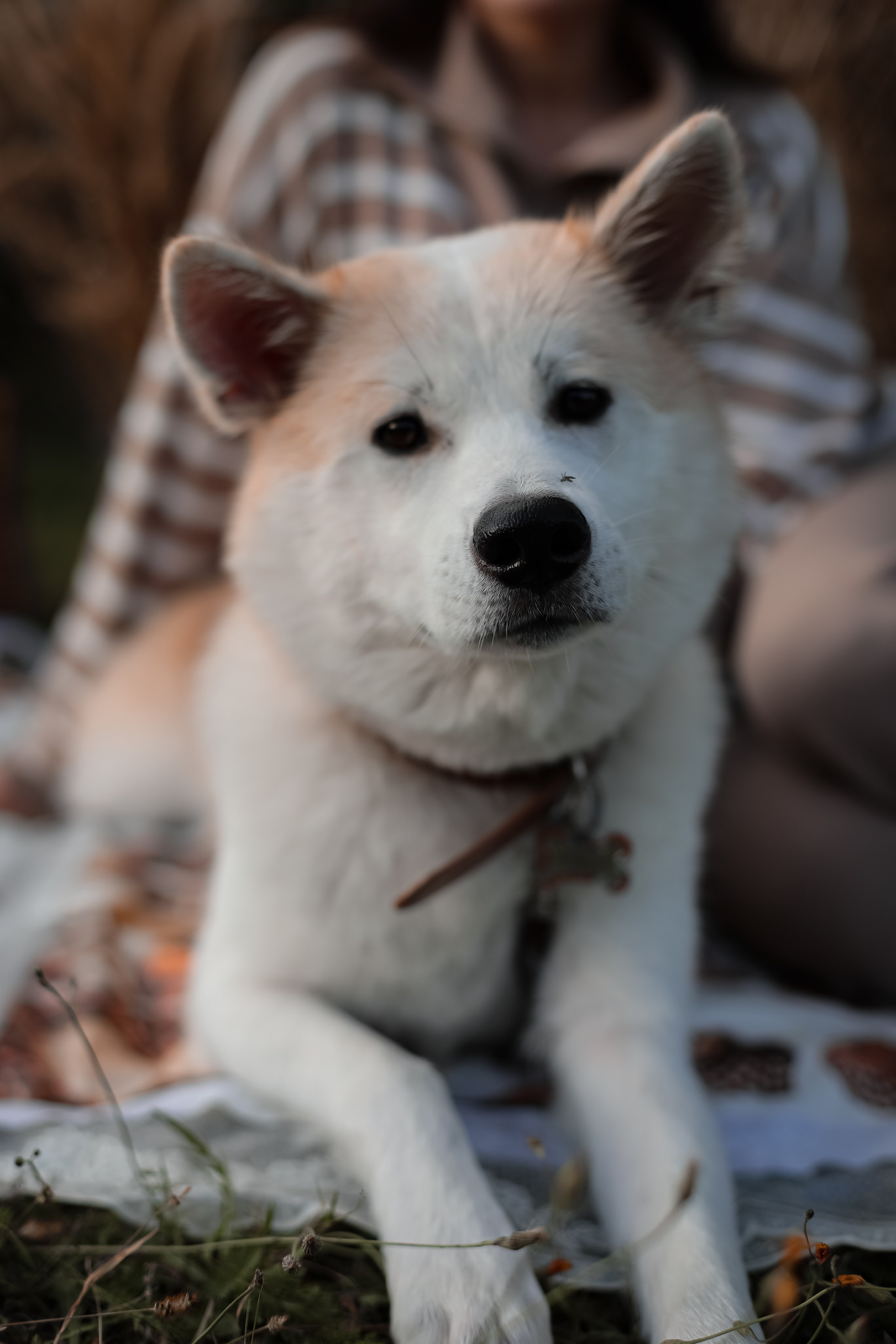 Осенняя фотосессия. Фотограф г. Хабаровск. Семейные и индивидуальные съёмки