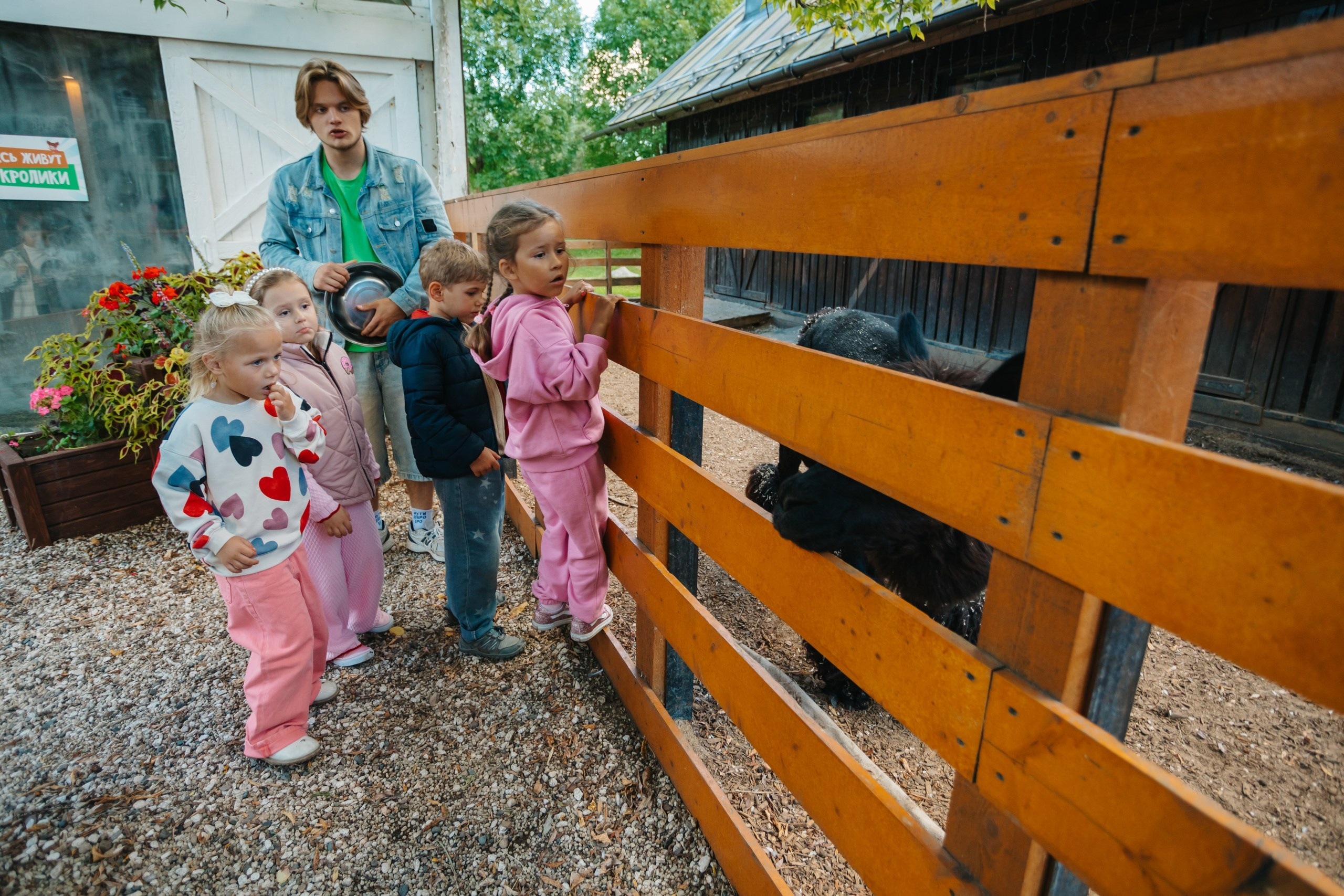 День рождения Марка. Андрей Партнов — фотогрраф, Москва