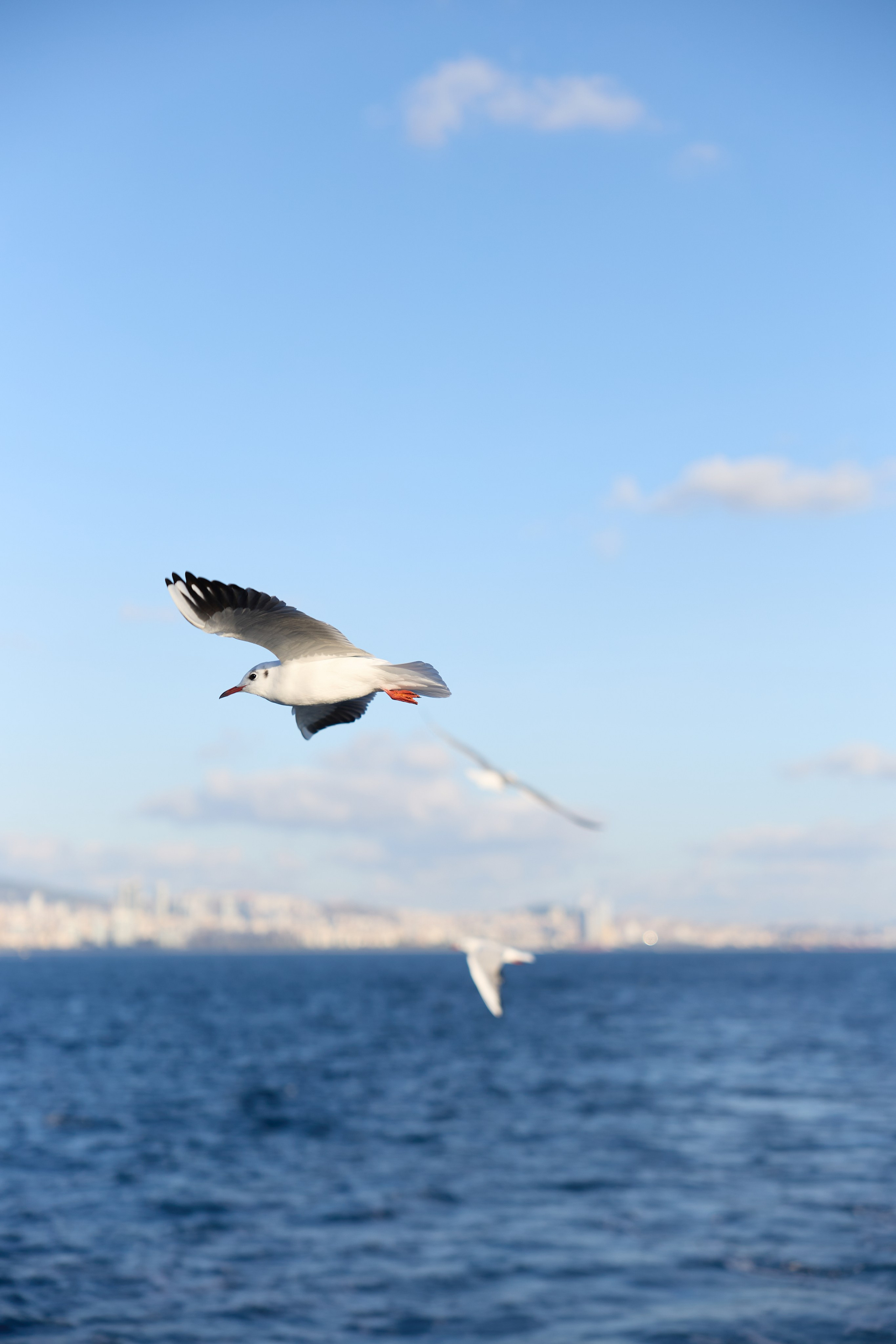 Стамбул 24. Фотограф Москва, Дима Пеллер