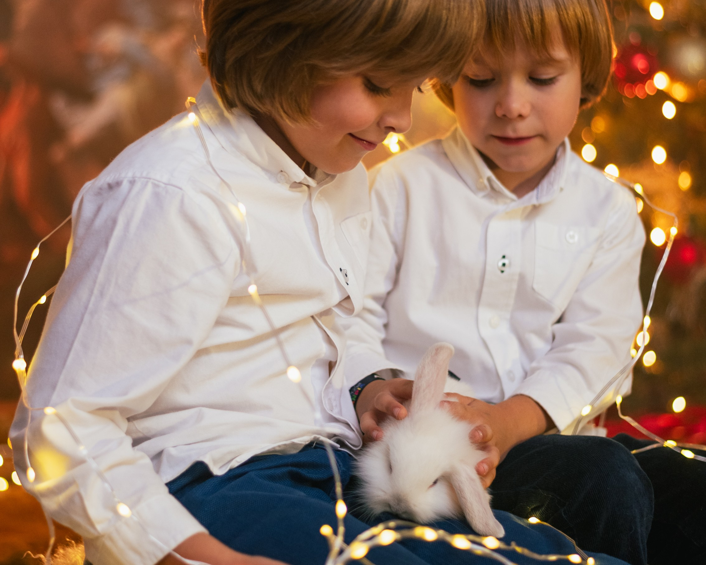 CHRISTMAS FOR VIKTOR AND ALEKSANDR. Anastasiia Antoniuk portrait, family and couple photographer, Portugal