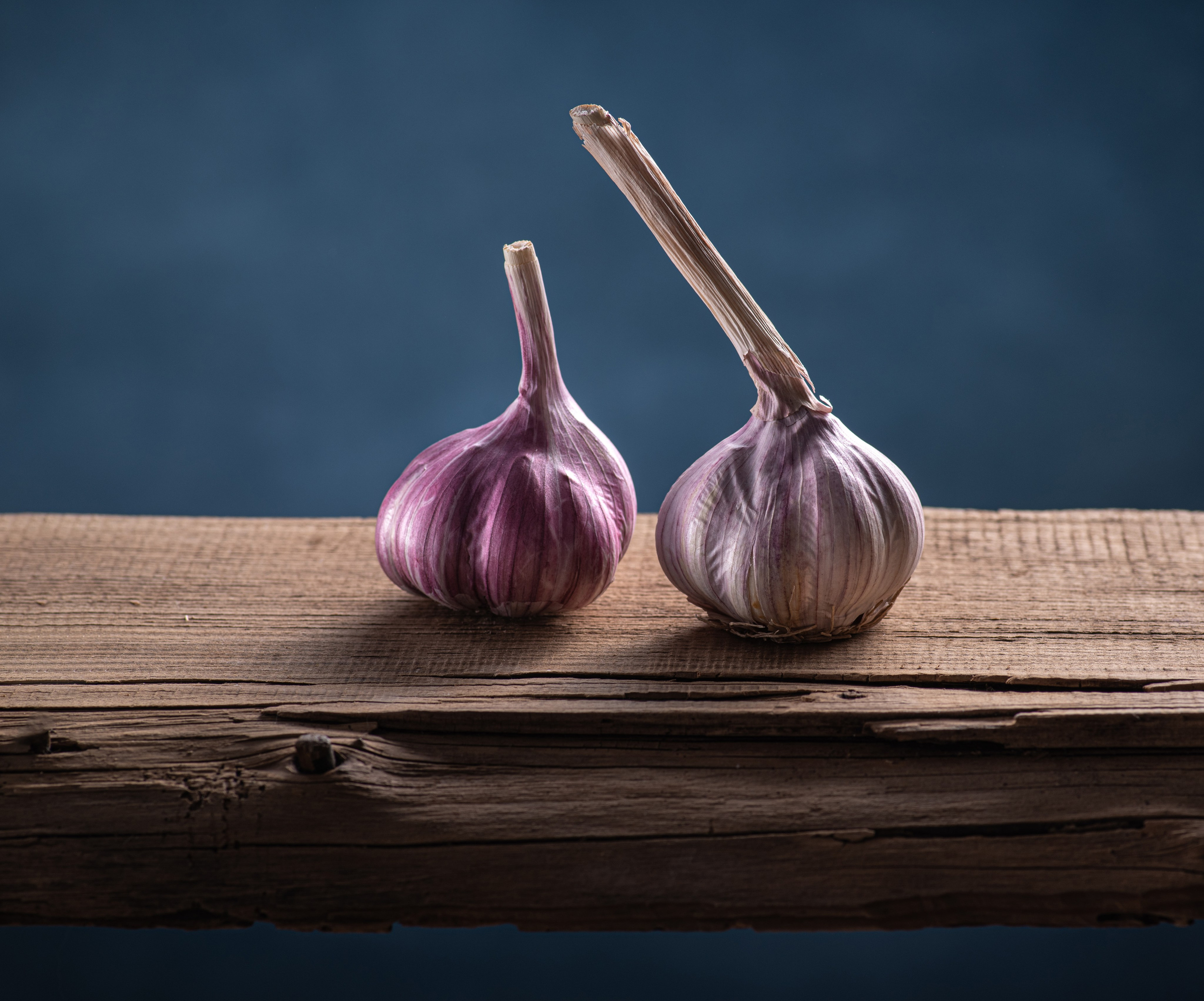 Фотографии для интерьеров в Ростове-на-Дону