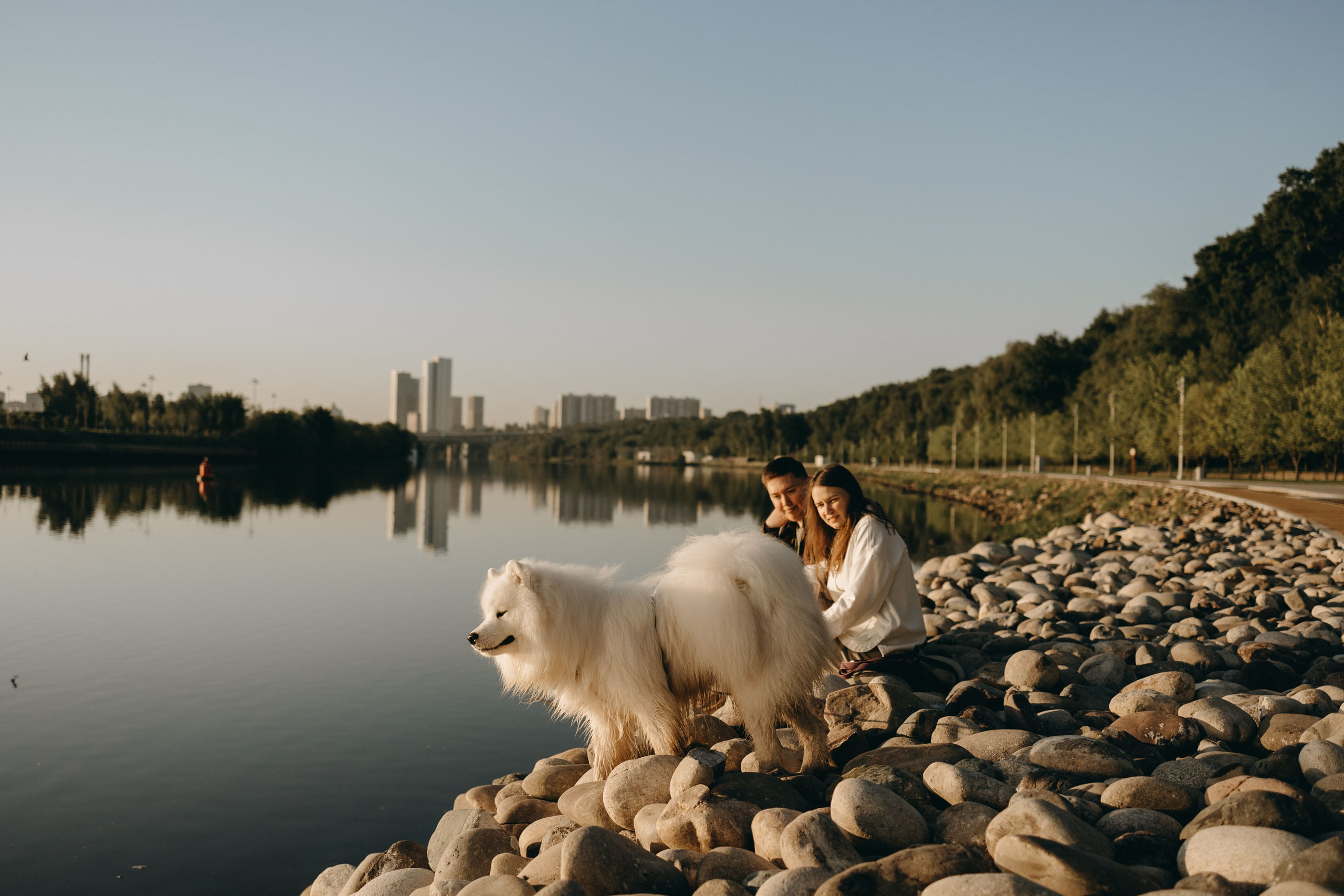 Танго и его семья. Фотограф — Анималист | Санкт-Петербург