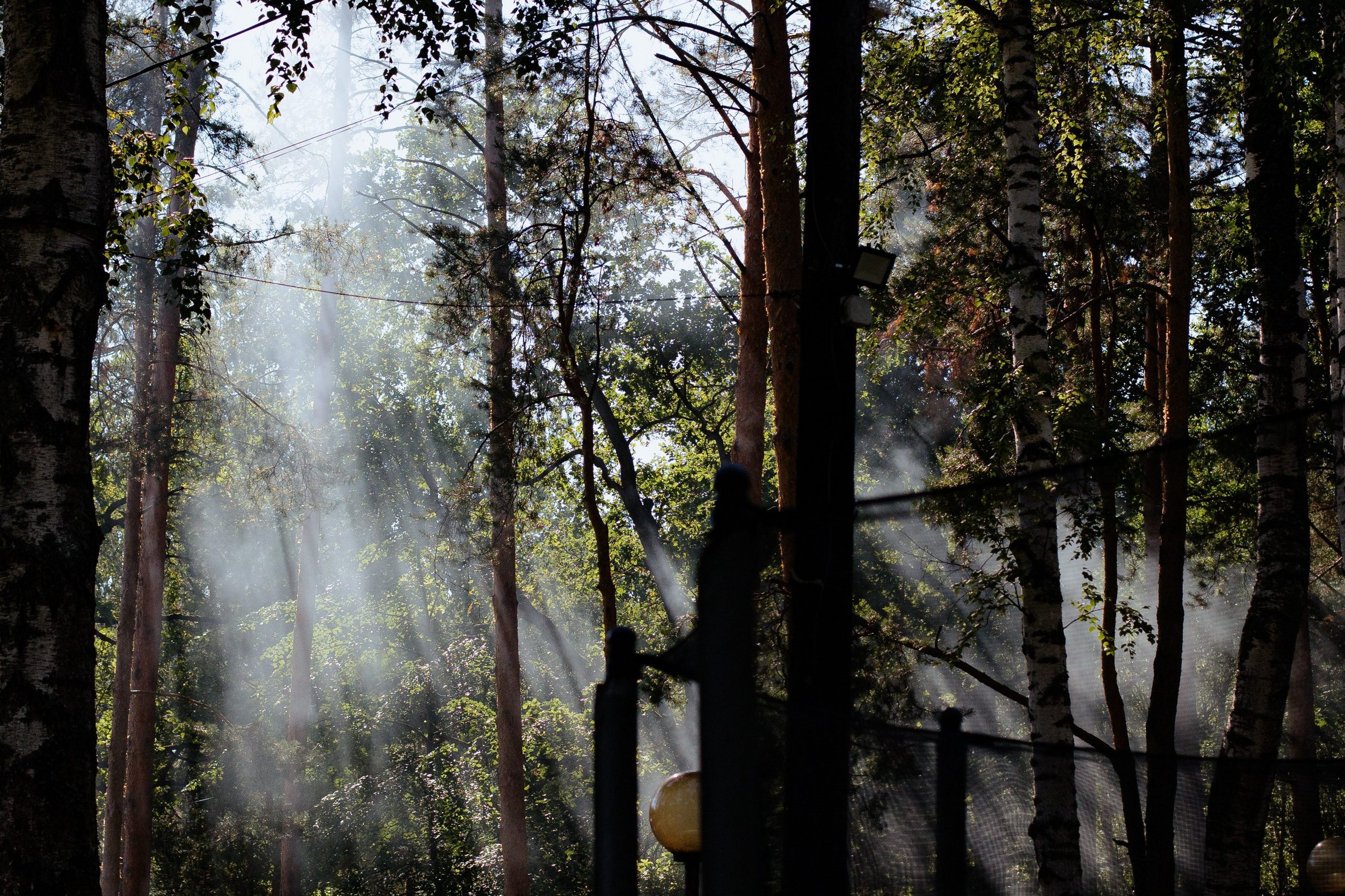 ART DENT корпоратив русский стиль. LEVORIGINAL