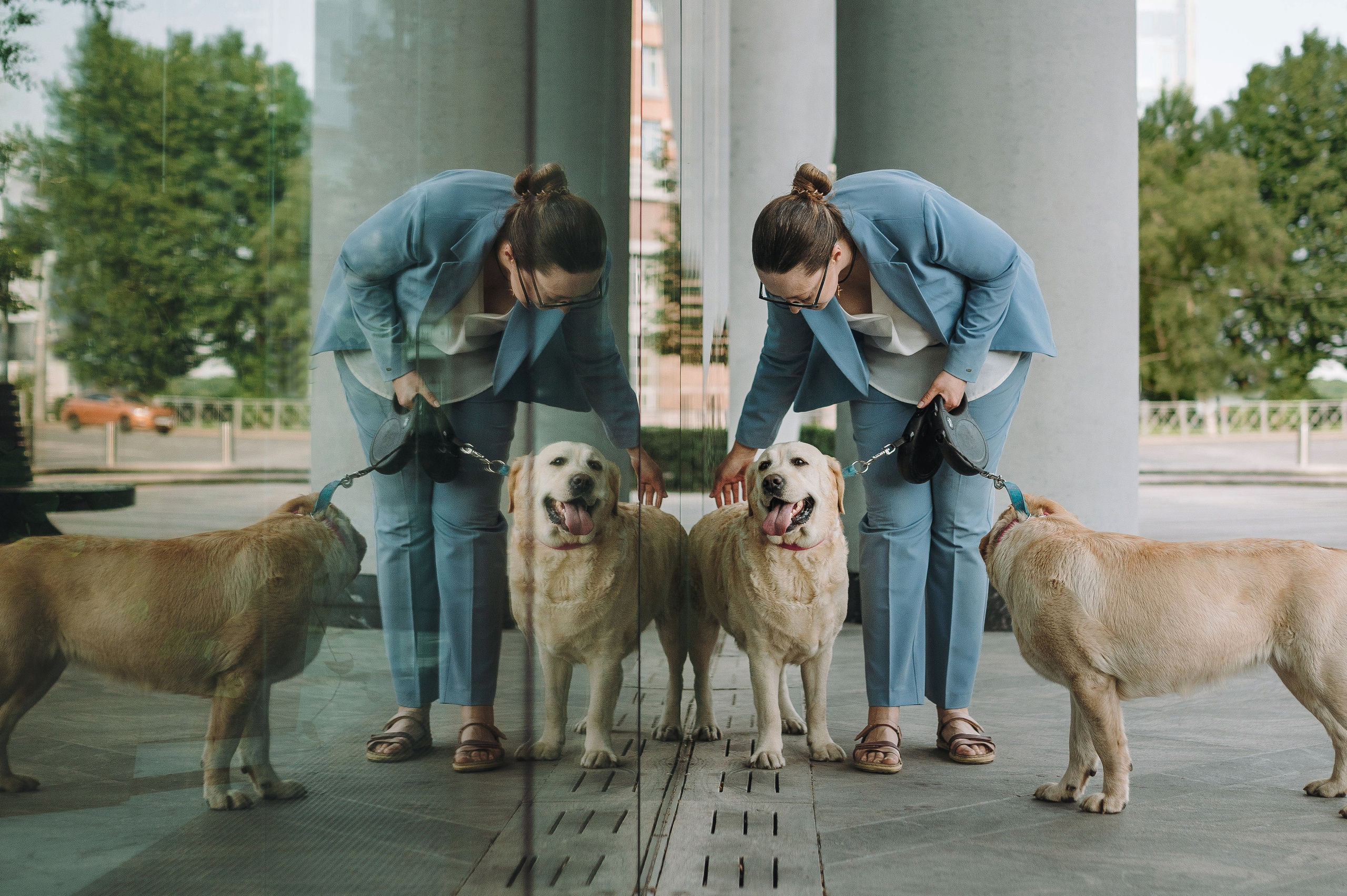 Лабрадоры питомника IRISLAV. Фотограф анималист в Спб недорого Олеся Майорова