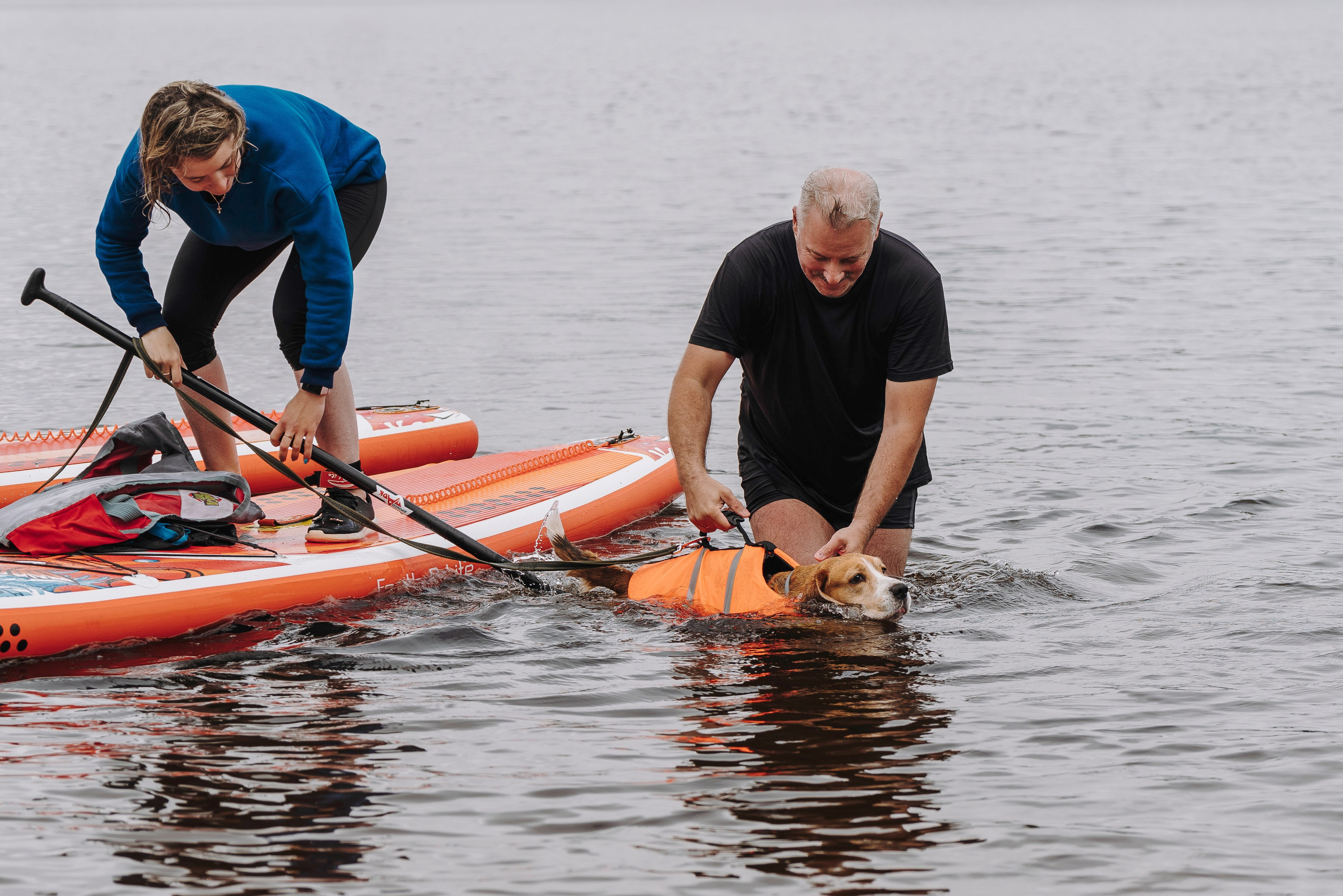 Катание на сапах с собаками. Фотограф анималист в Спб недорого Олеся Майорова