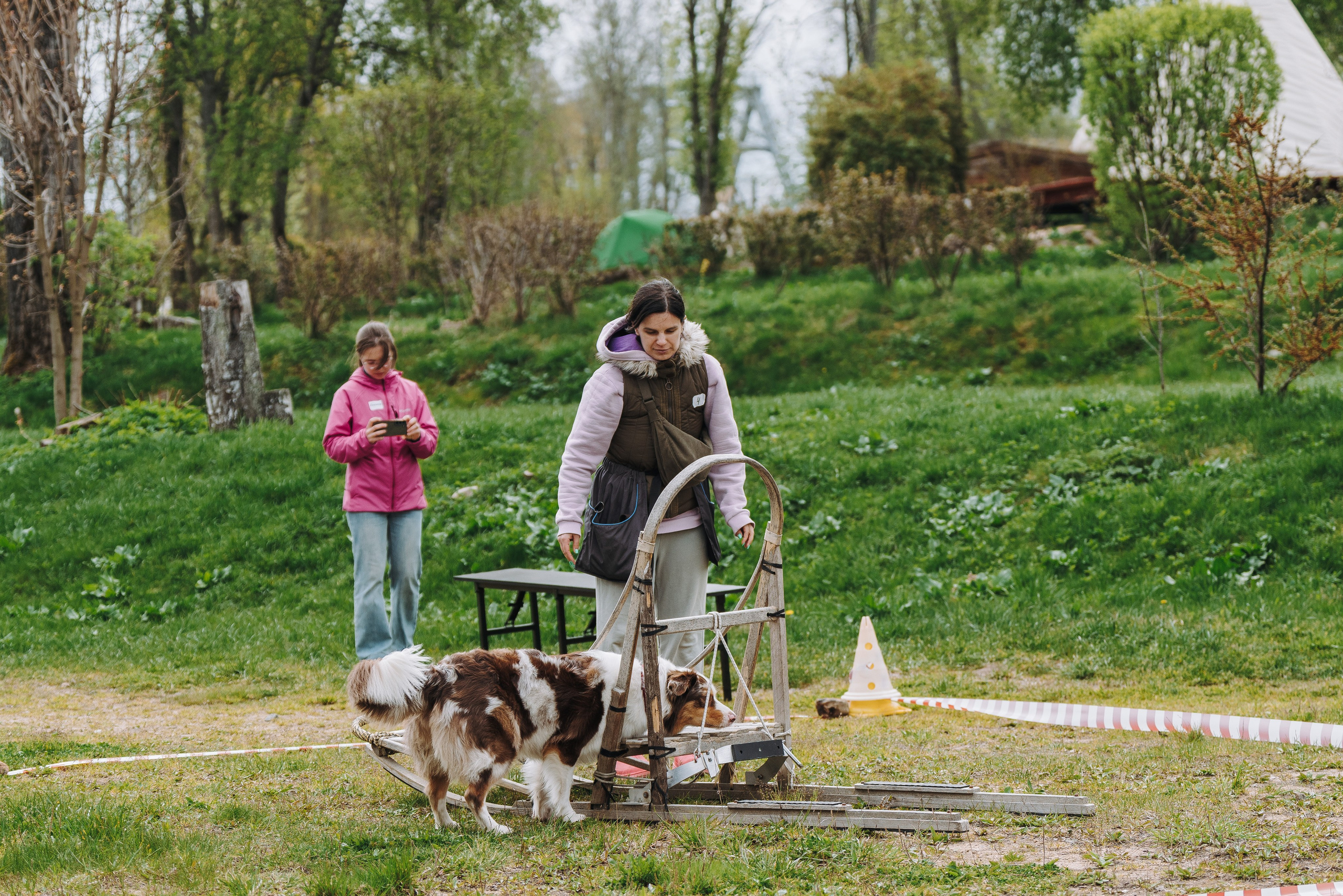 Соревнования по ноузворку в Лосево. Фотограф анималист в Спб недорого Олеся Майорова
