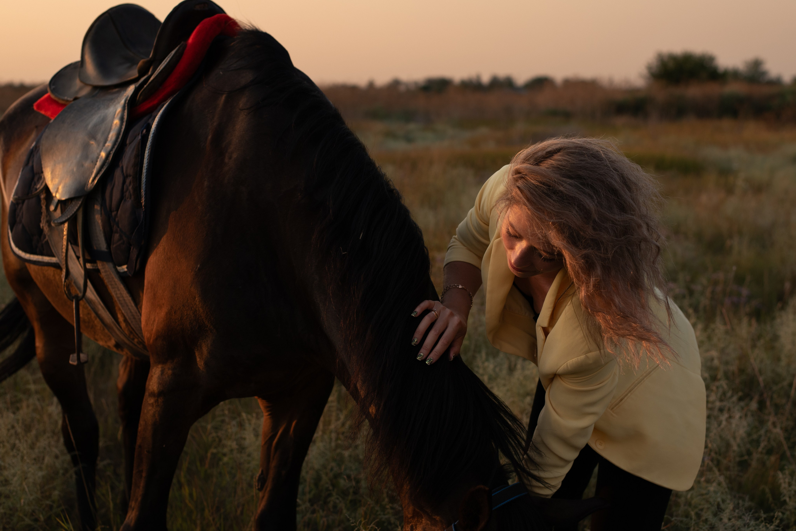 Леди и лошадь. Главная