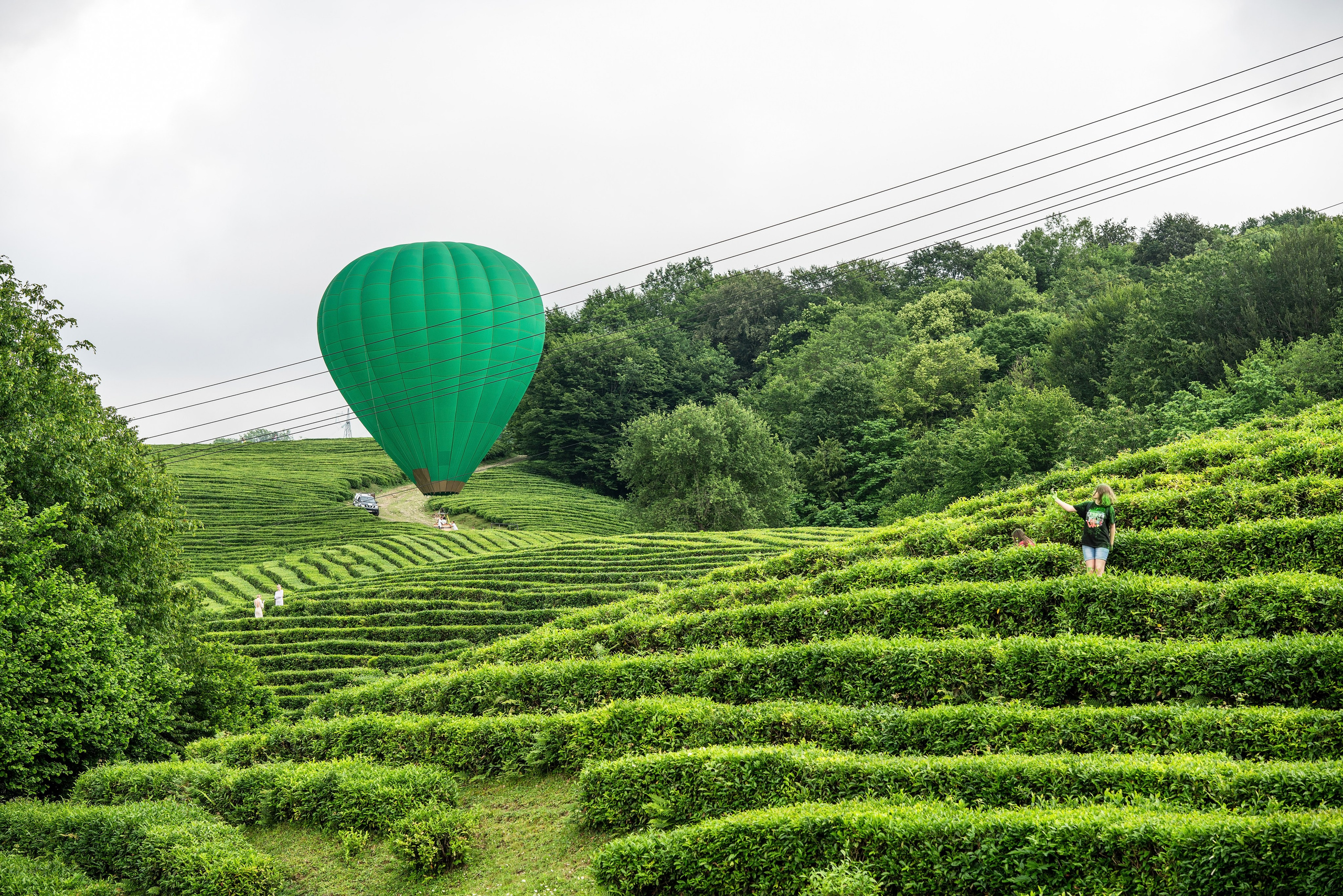 Фотограф на праздник Сочи. Фотограф Сочи