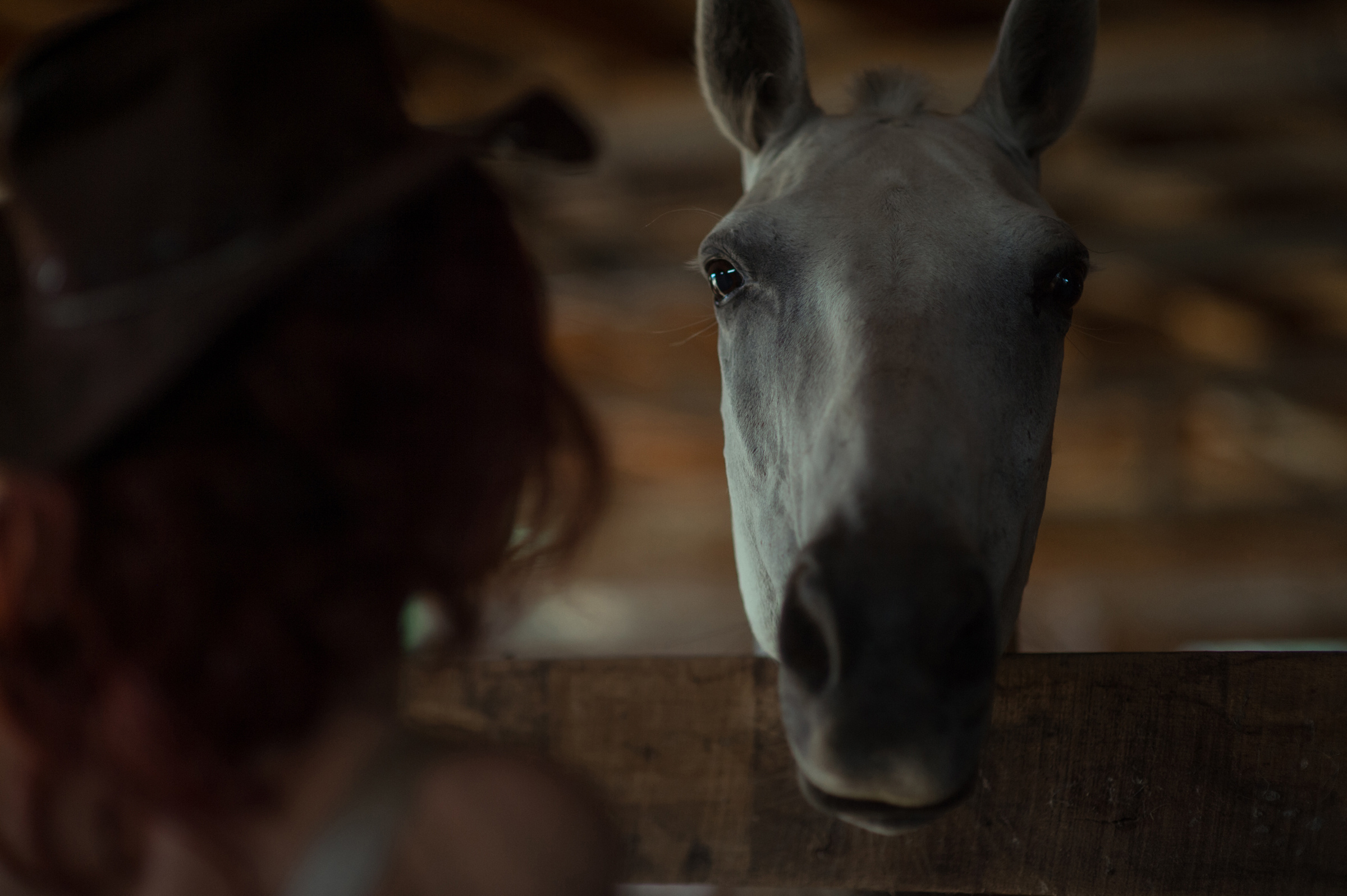Свадьба Ромы и Татьяны. Фотограф в Краснодаре, Москве, Санкт-Петербурге Андрей Резун