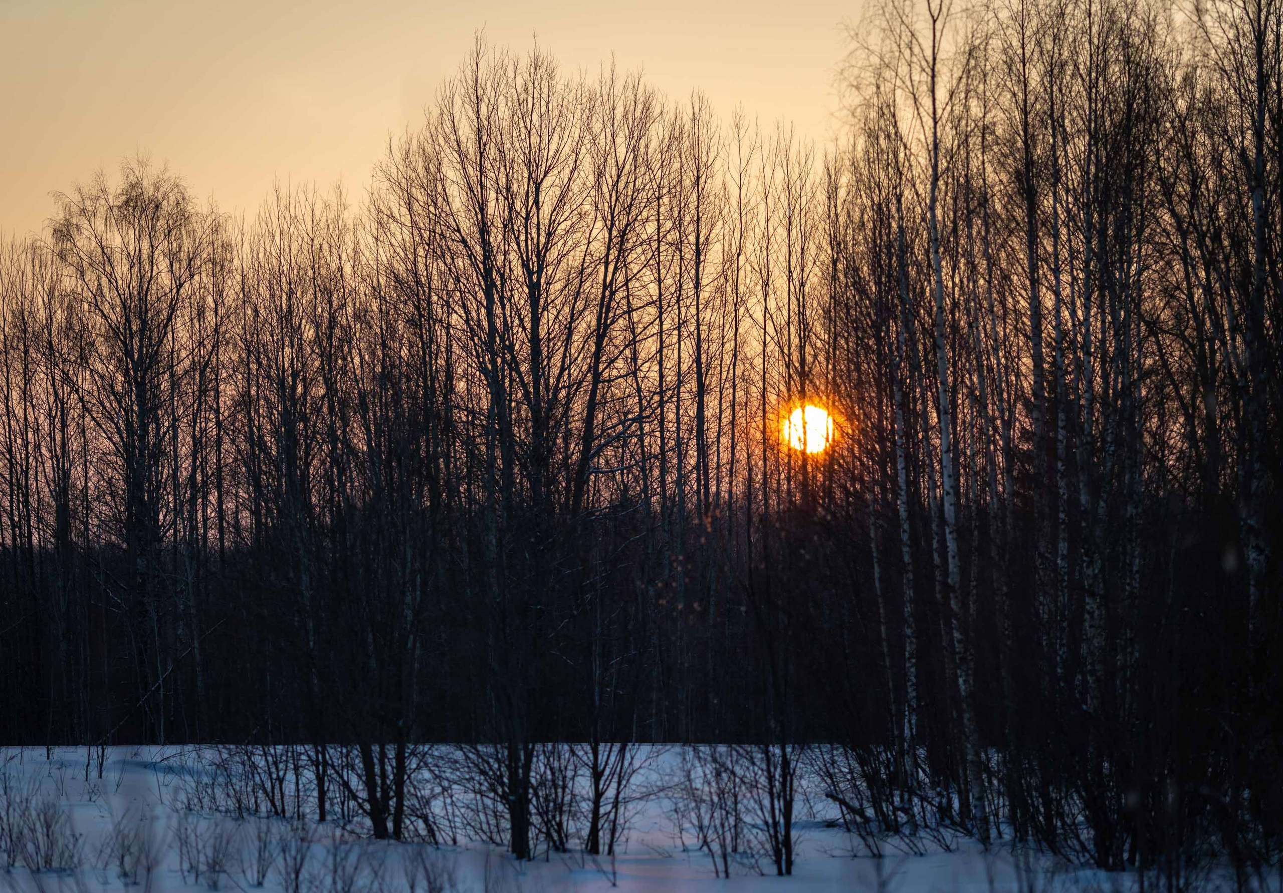 Природные пейзажи. Наталия Клевинскас портретный фотограф в Костроме