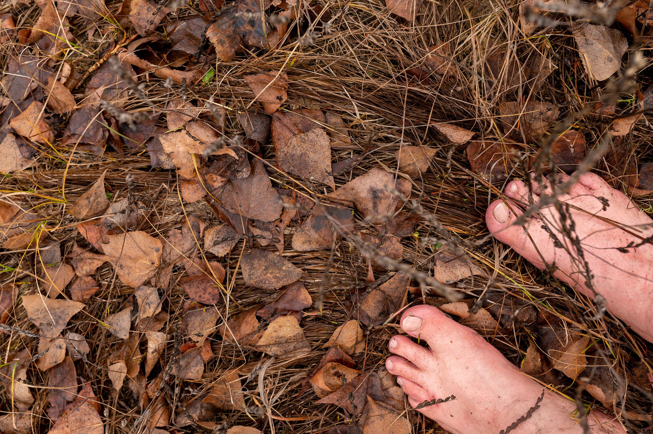 Убежище. Наталия Шульгина — визуальный художник, фотограф