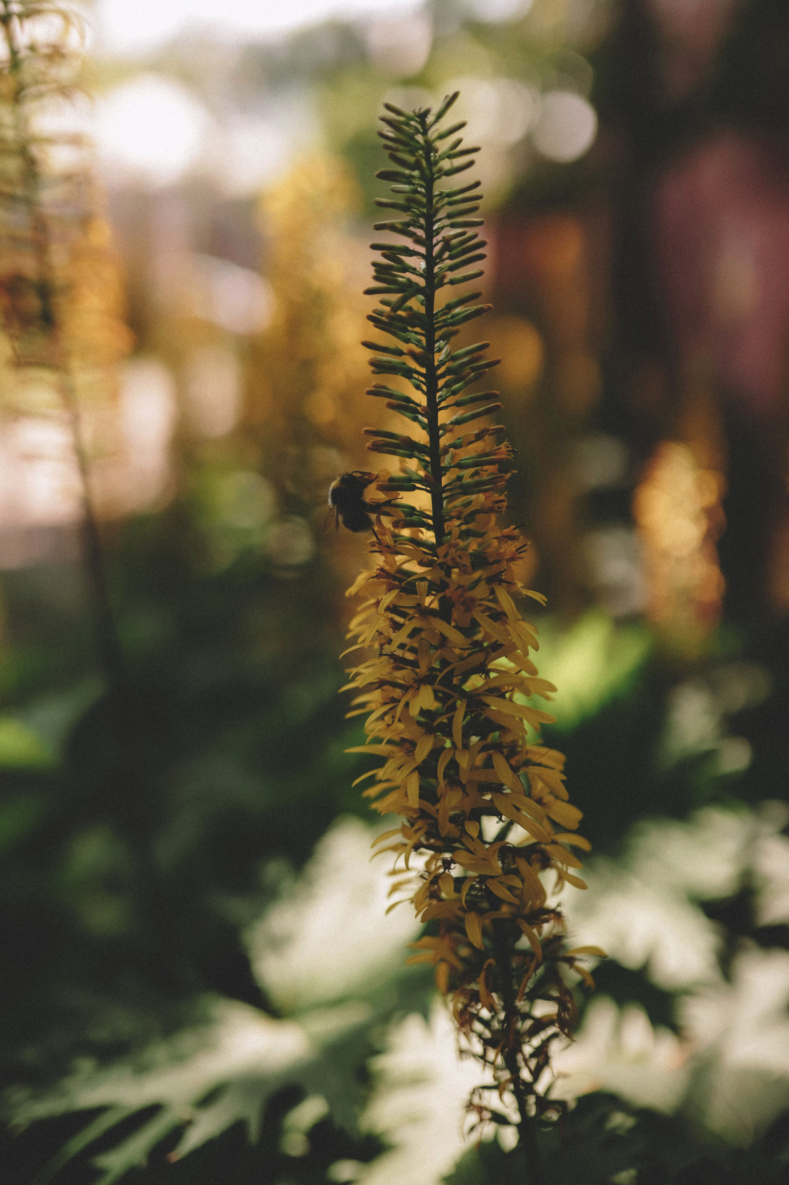 Данил и Ульяна. Фотограф в Нижнем Новгороде Кристина Батанова