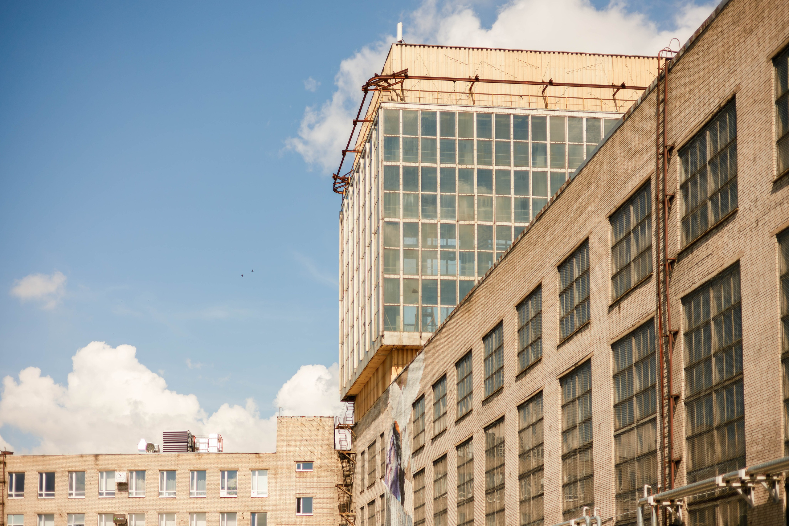 Флоу фест 2024. Фотограф Балаев Михаил