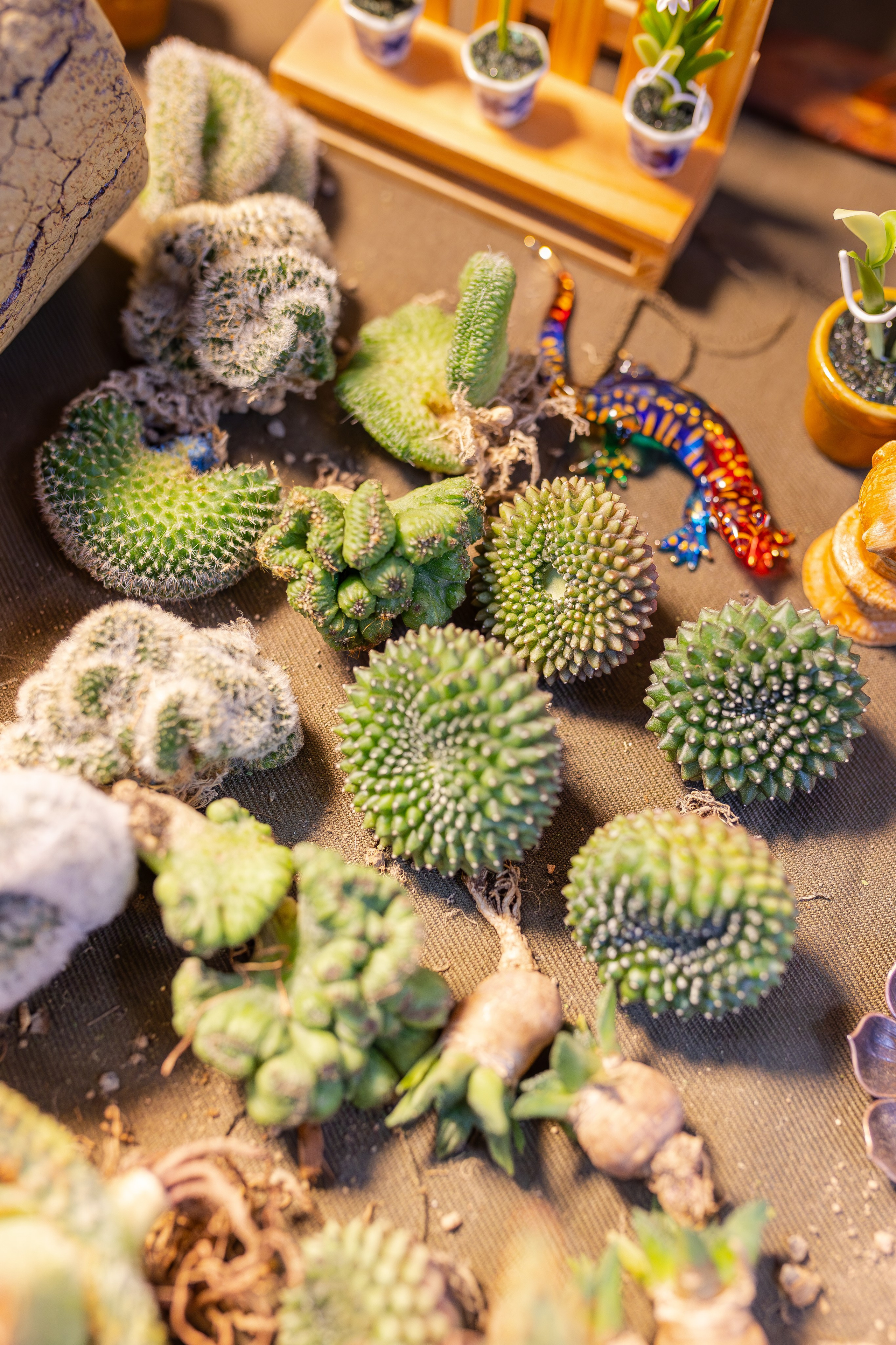 Монстериум апрель 2026. Александра Куликова фотограф, Москва