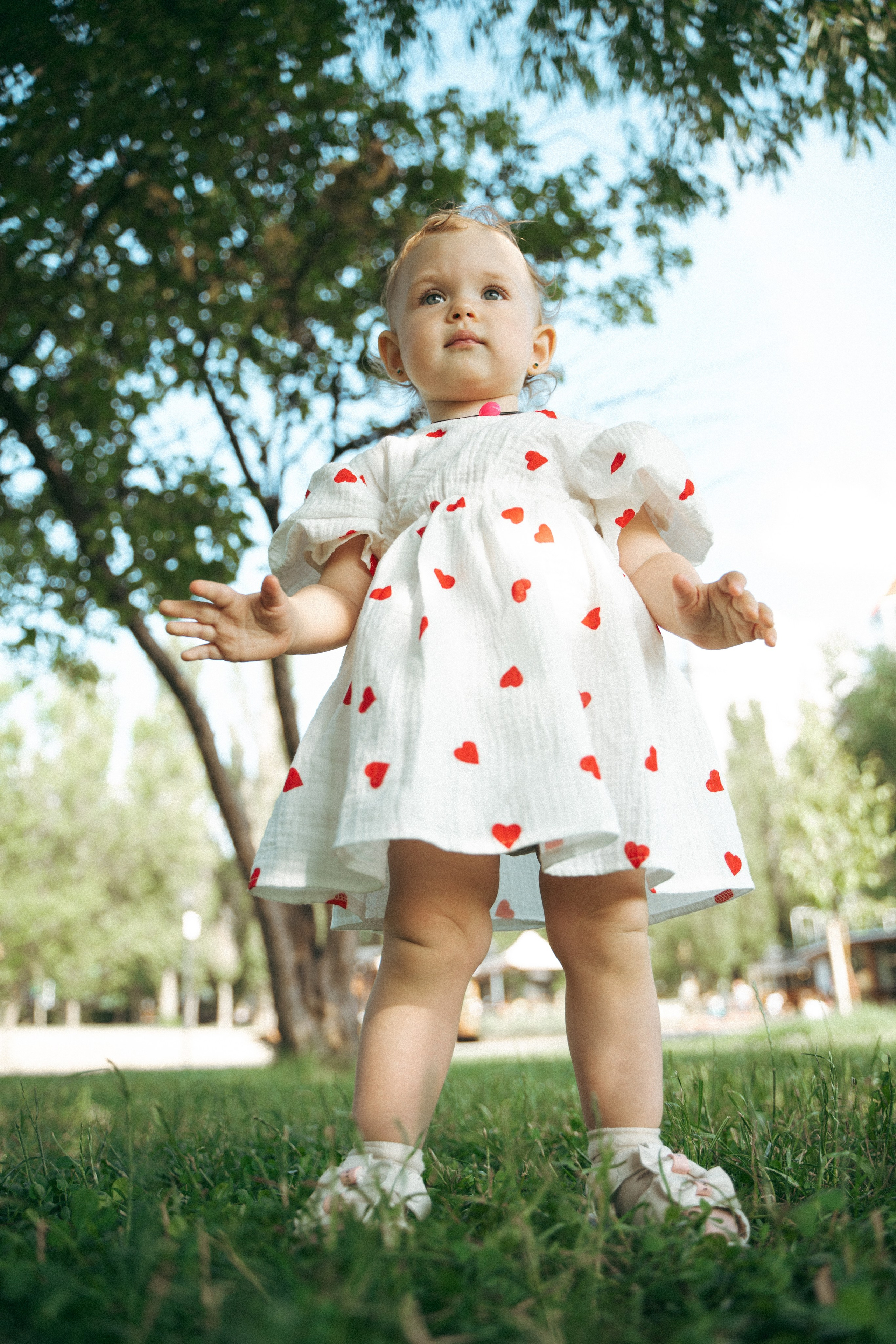 Дельфин парк. Фотограф Мария Зайчик