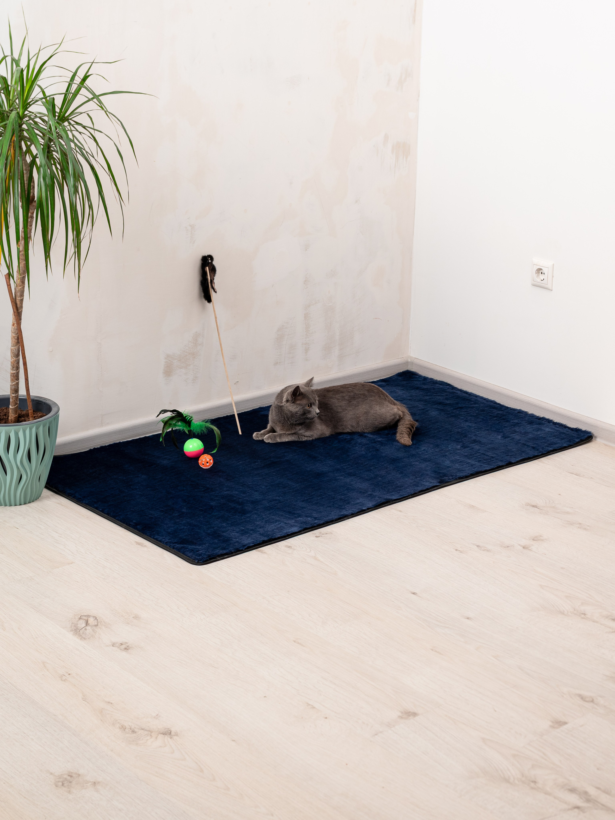 Коврики для дома. Предметный фотограф, фото для маркетплейсов Пятигорск, КМВ