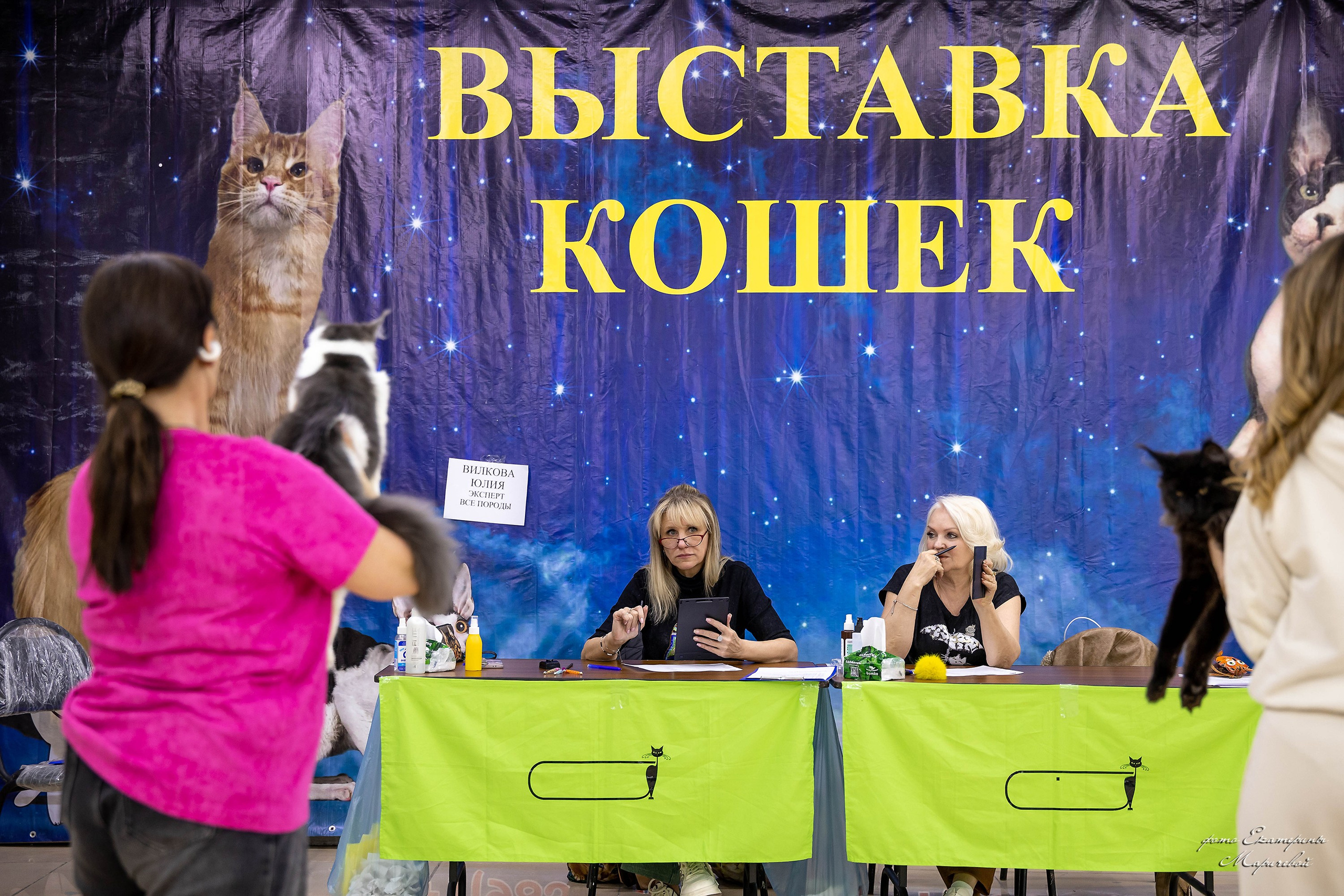 11–12 апреля — Интершоу — «Звездная Галактика Доброго Кота». Работаю со стендом. Фотограф-анималист в Омске Екатерина Маричева