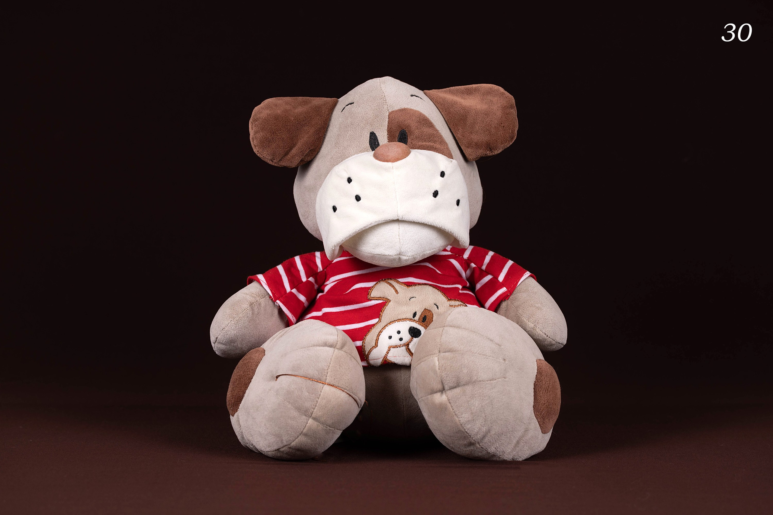 Коричневые фоны. Фотограф-анималист в Омске Екатерина Маричева